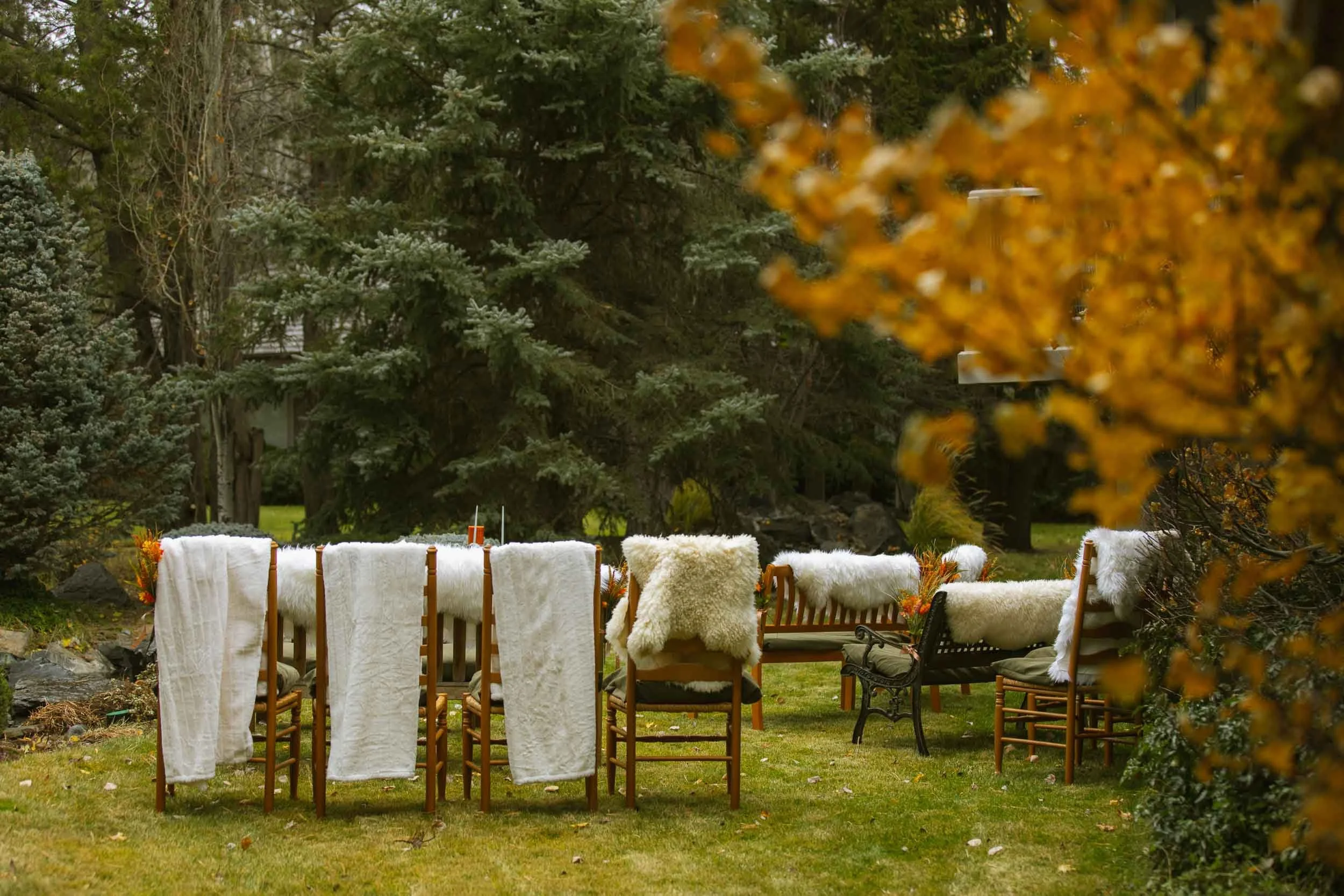 Outdoor setup with chairs draped in white coverings and sheepskin throws on a grassy area, surrounded by trees with autumn foliage.