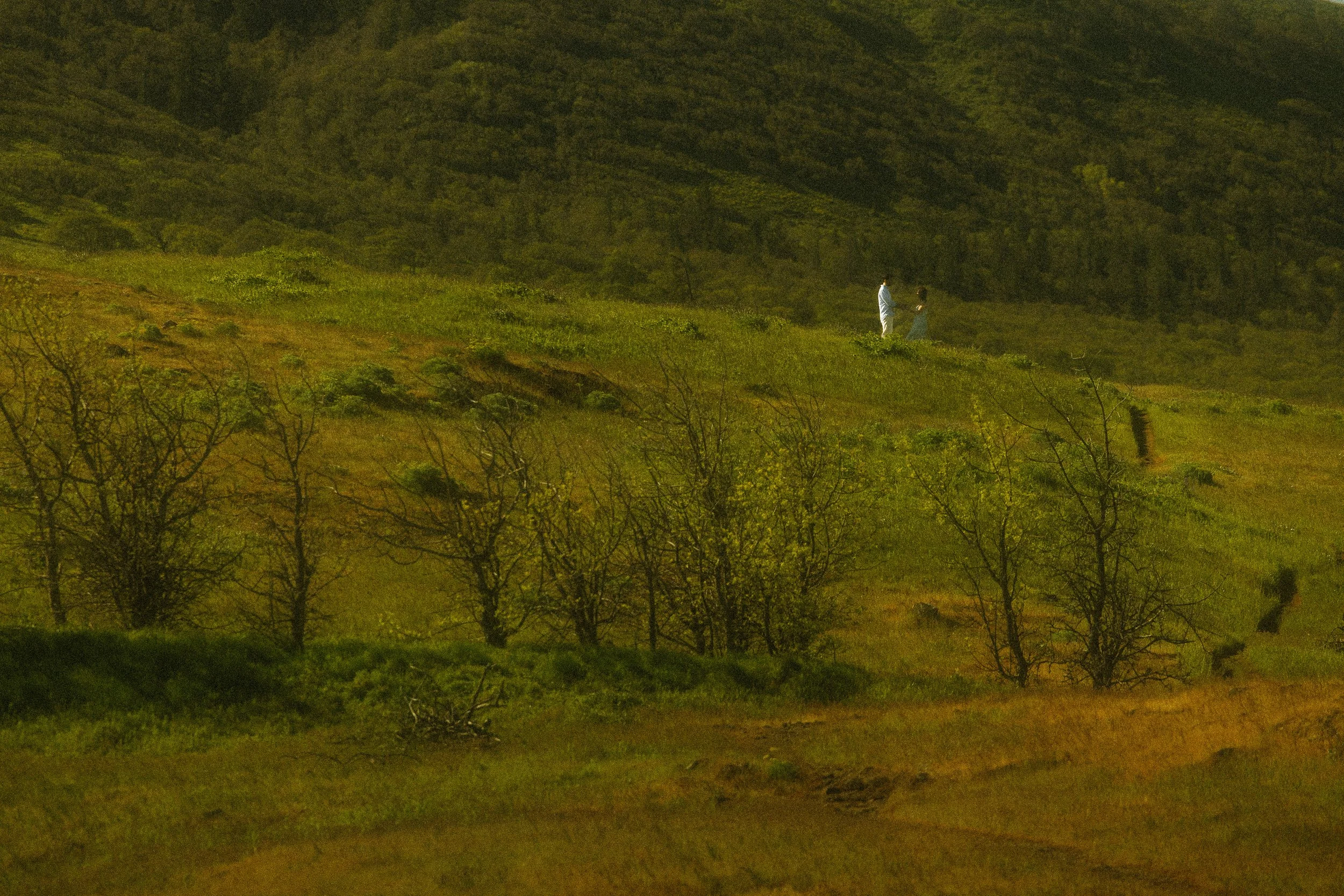 best engagement locations Columbia River Gorge