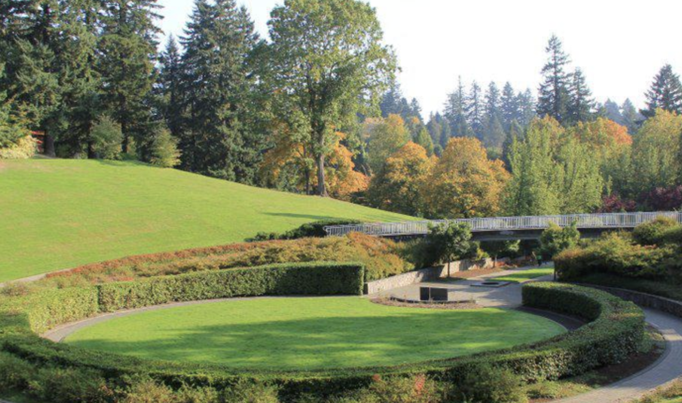 A park with a grassy hill, neatly trimmed bushes, trees with autumn foliage, and a walkway.