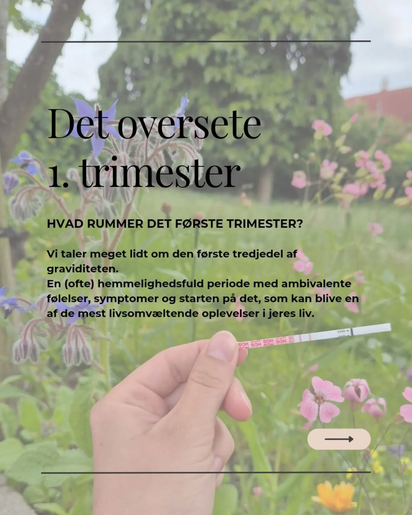 ✨ Det oversete 1. trimester ✨

Jeg har netop selv st&aring;et i og gennemg&aring;et mit tredje 1.  trimester (min f&oslash;rste graviditet endte i en spontan abort i uge 6) og har derfor nu tre gange oplevet den d&eacute;r lidt &quot;overset&quot; f&