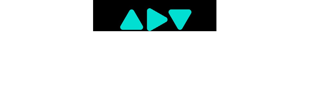 AGILE DRIVE VALUE