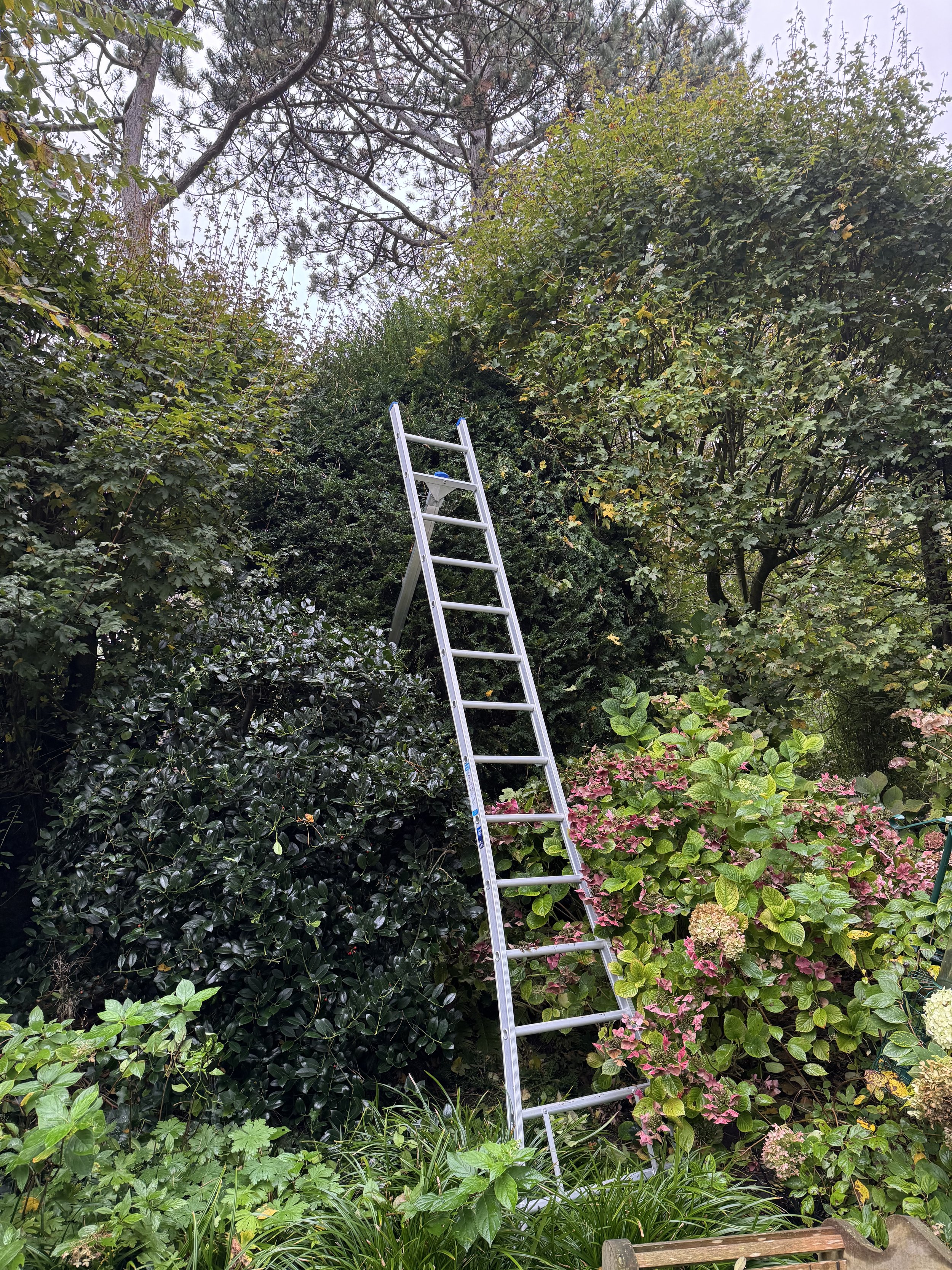 Onderhoud Hoveniersbedrijf Van Lierop Bostuin Bloemendaal