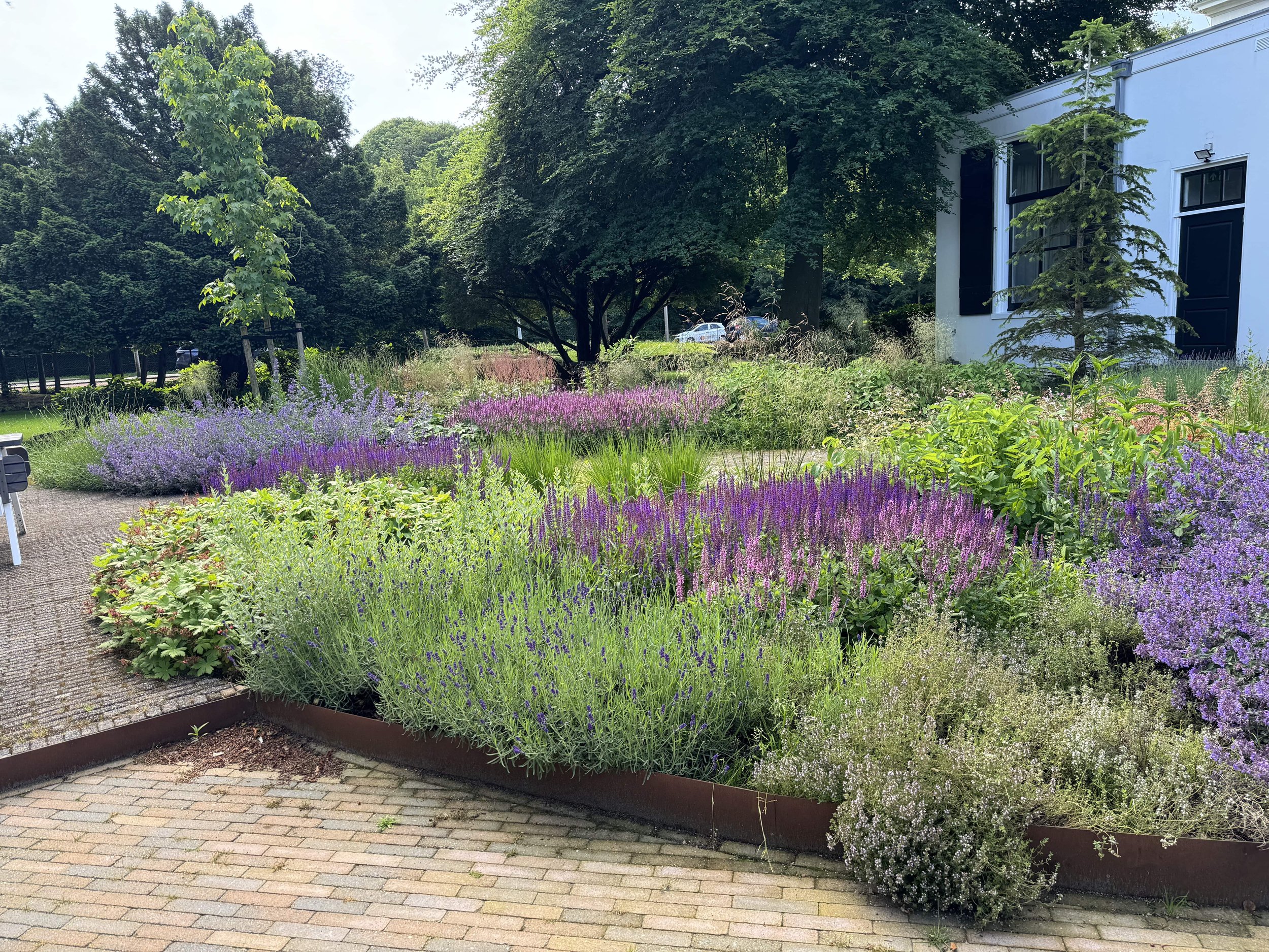 Onderhoud Hoveniersbedrijf Van Lierop Kantoor natuurtuin Heemstede