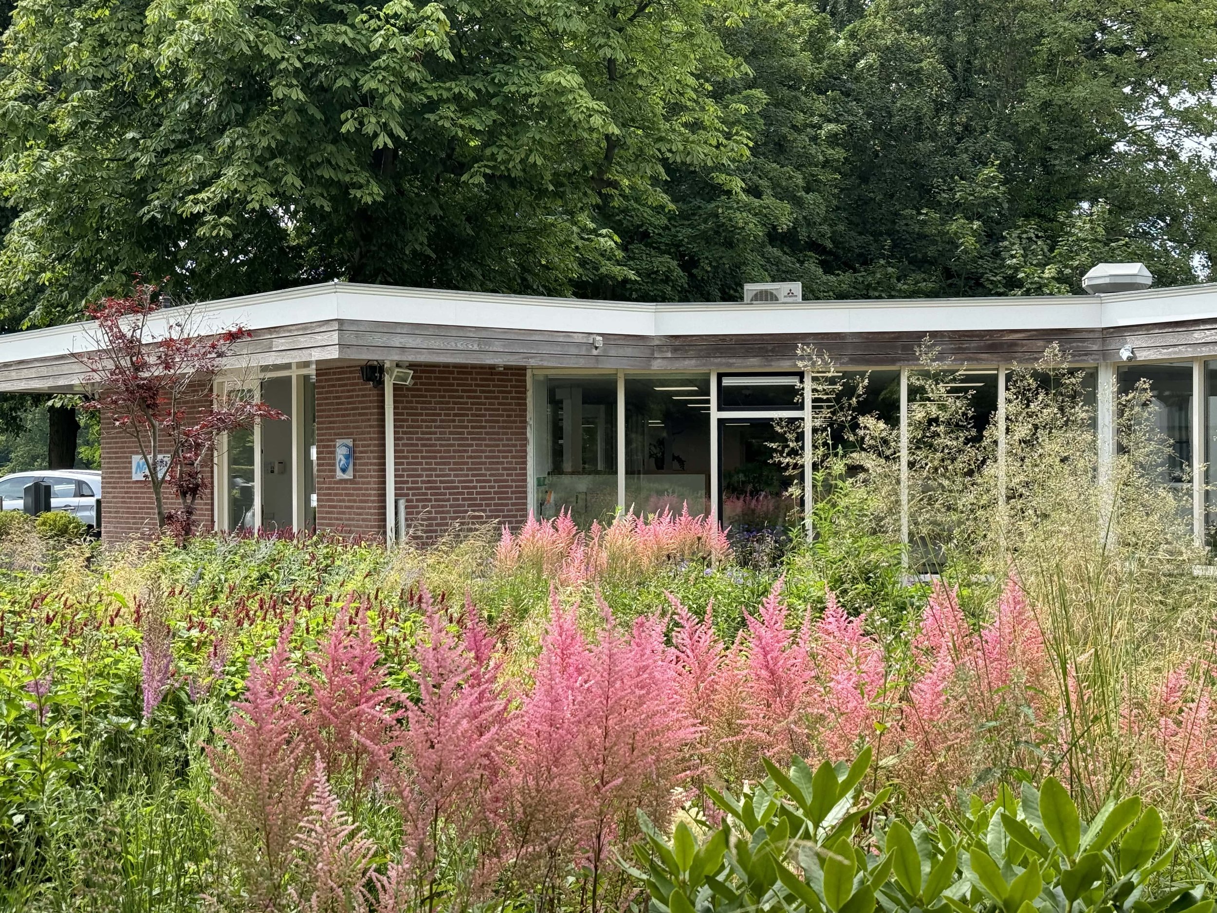 Onderhoud Hoveniersbedrijf Van Lierop Kantoor natuurtuin Heemstede