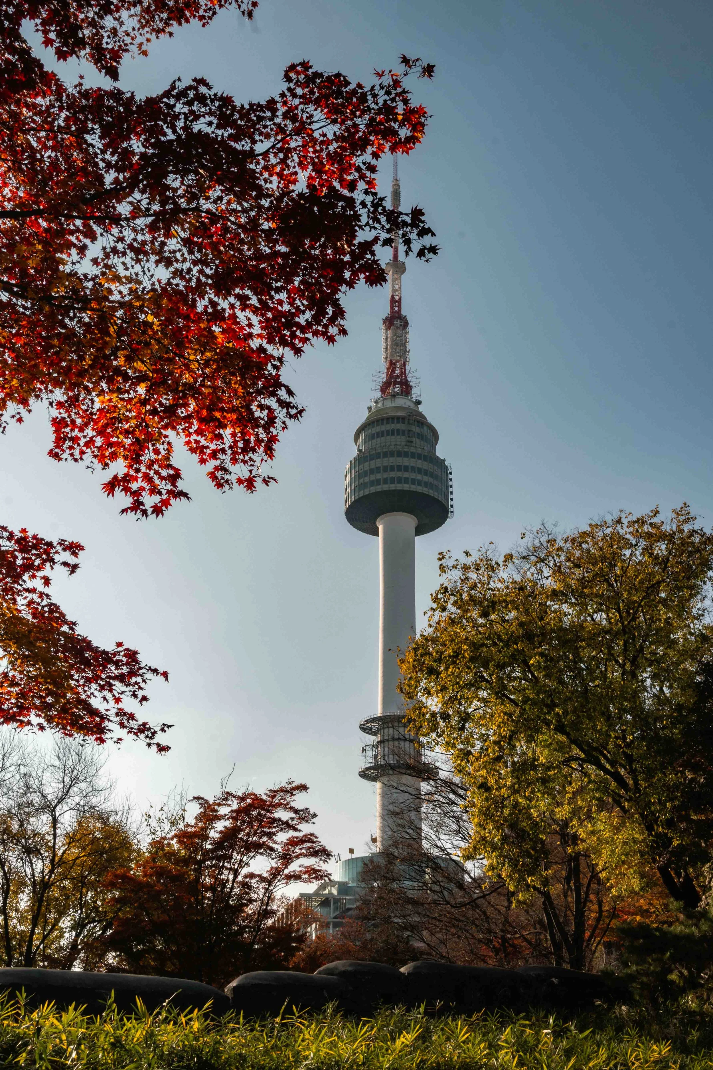  View of the N-Seoul Tower from below through colorful trees in the autumn foliage. 
