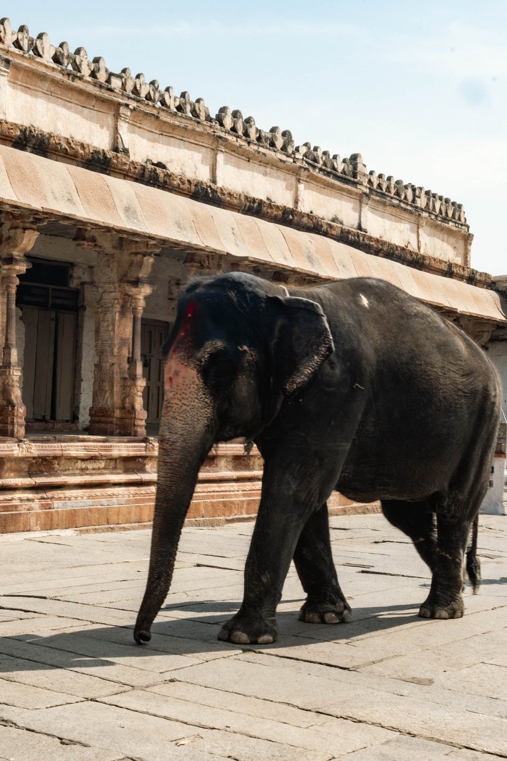 Laxmi Elephant in Virupaksha Temple