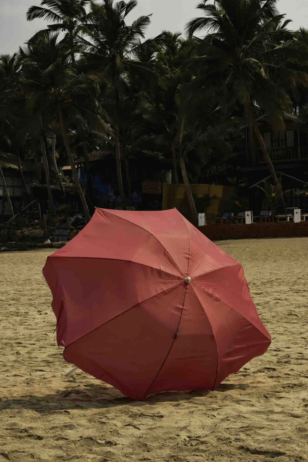 Red umbrella Agonda Beach