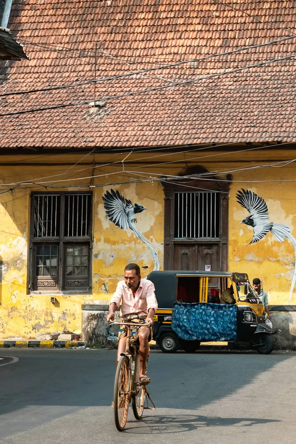 Bicycle Kochi