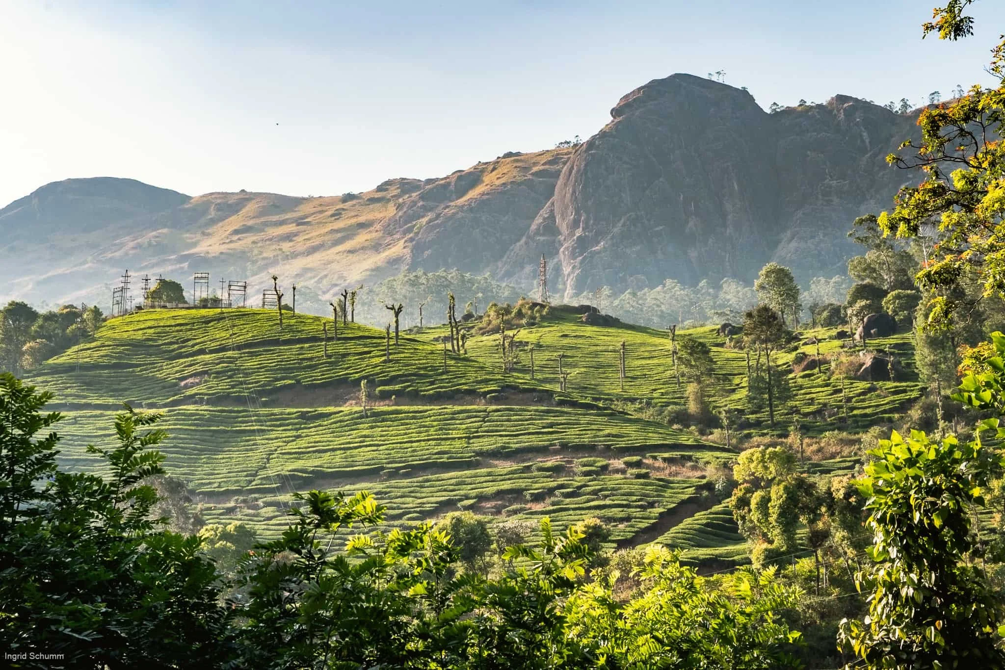The Best Kerala Roadtrip: From Kochi to Munnar