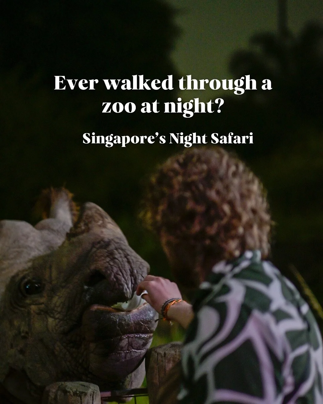 We know&hellip; you might wonder if a night zoo is ethical or sustainable. We felt the same before visiting, but seeing how the park cares for nocturnal animals and endangered species really changed our perspective.

We had the best experience explor