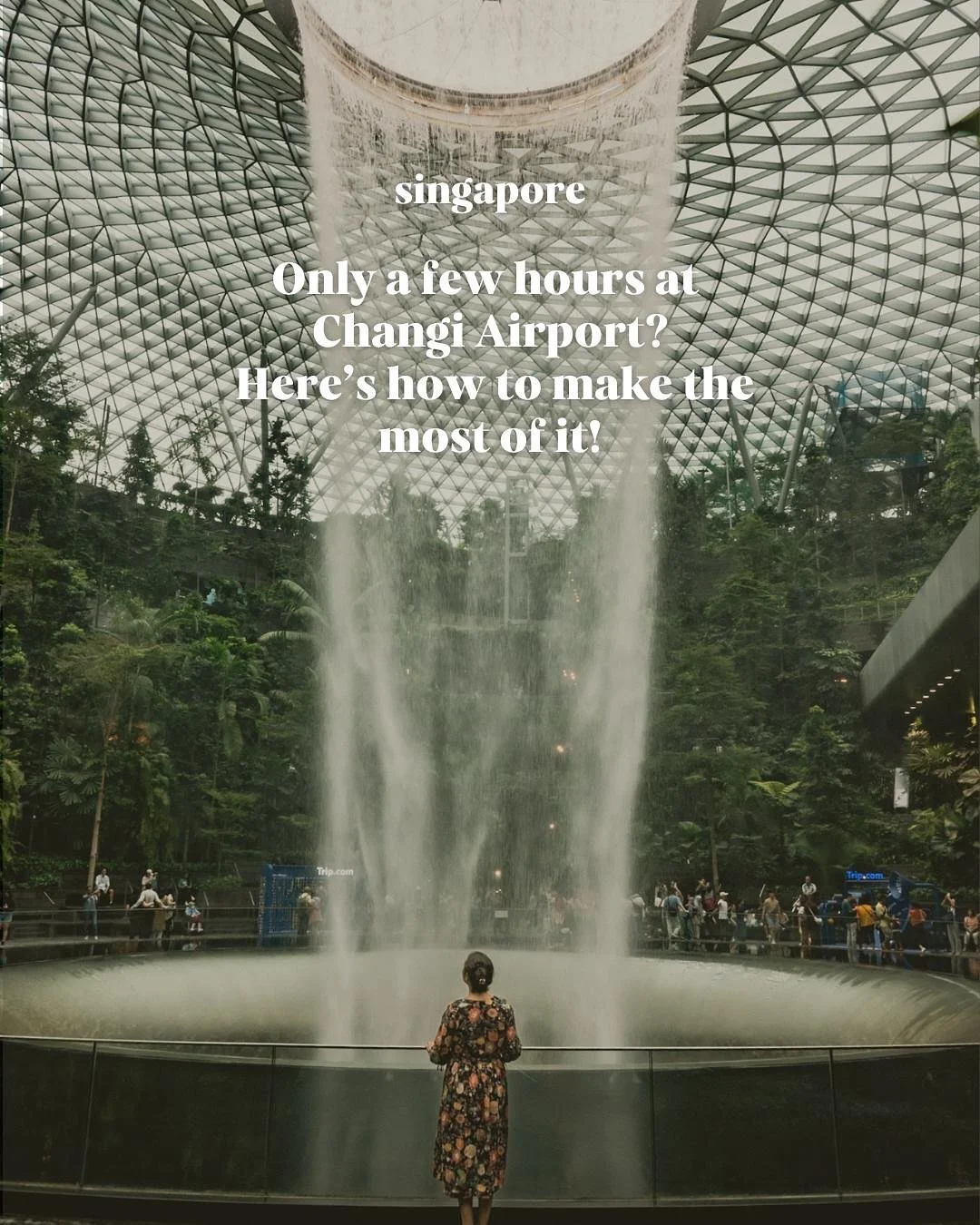 Airports can be overwhelming, and Changi is basically a mini city. If you only have 4&ndash;5 hours, you don&rsquo;t want to waste time figuring out where to go. That&rsquo;s why we made this quick guide.

💬 Want our full Changi Airport guide with m