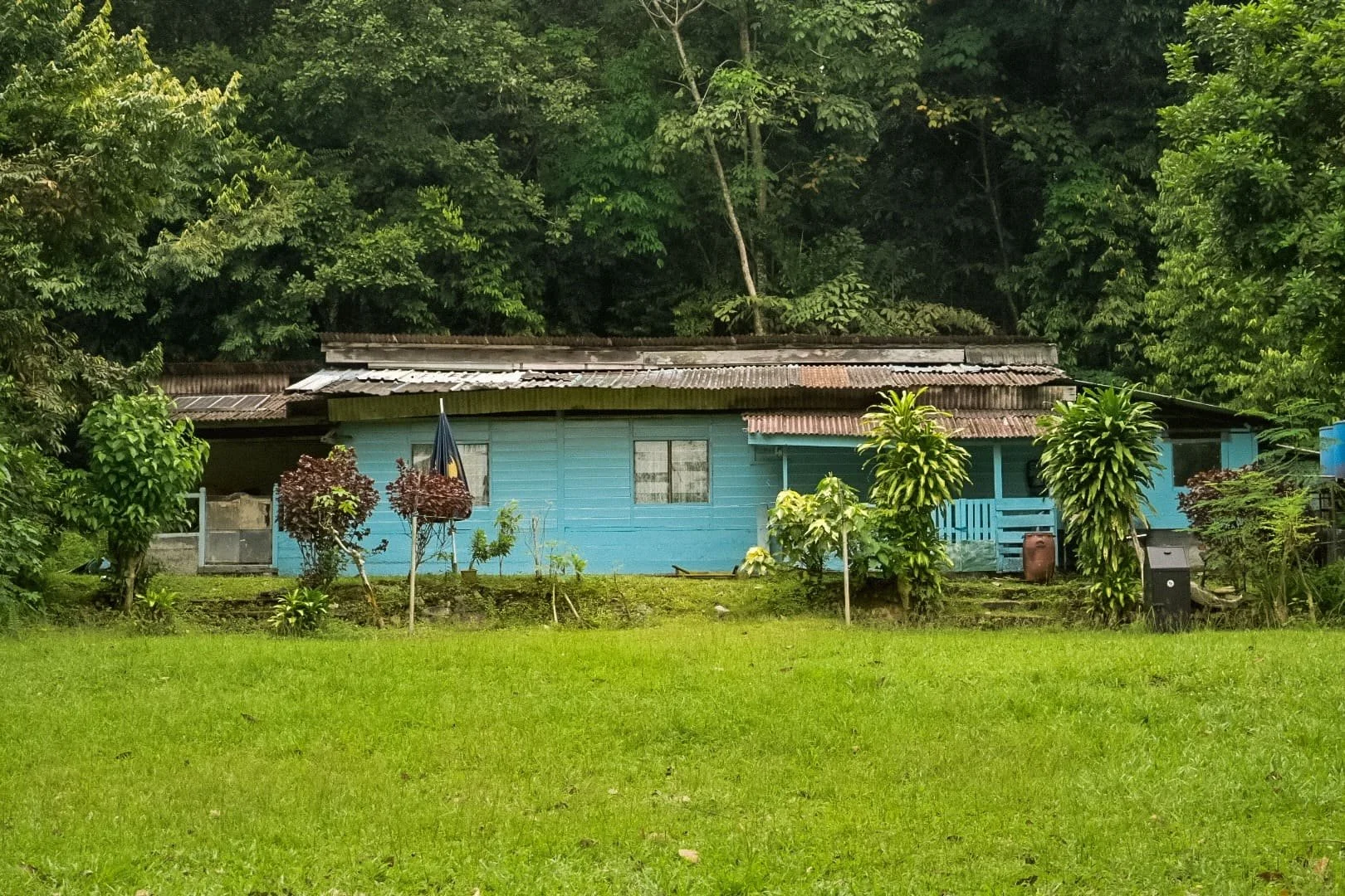 Pulau Ubin’s rustic village with palm trees and wooden houses