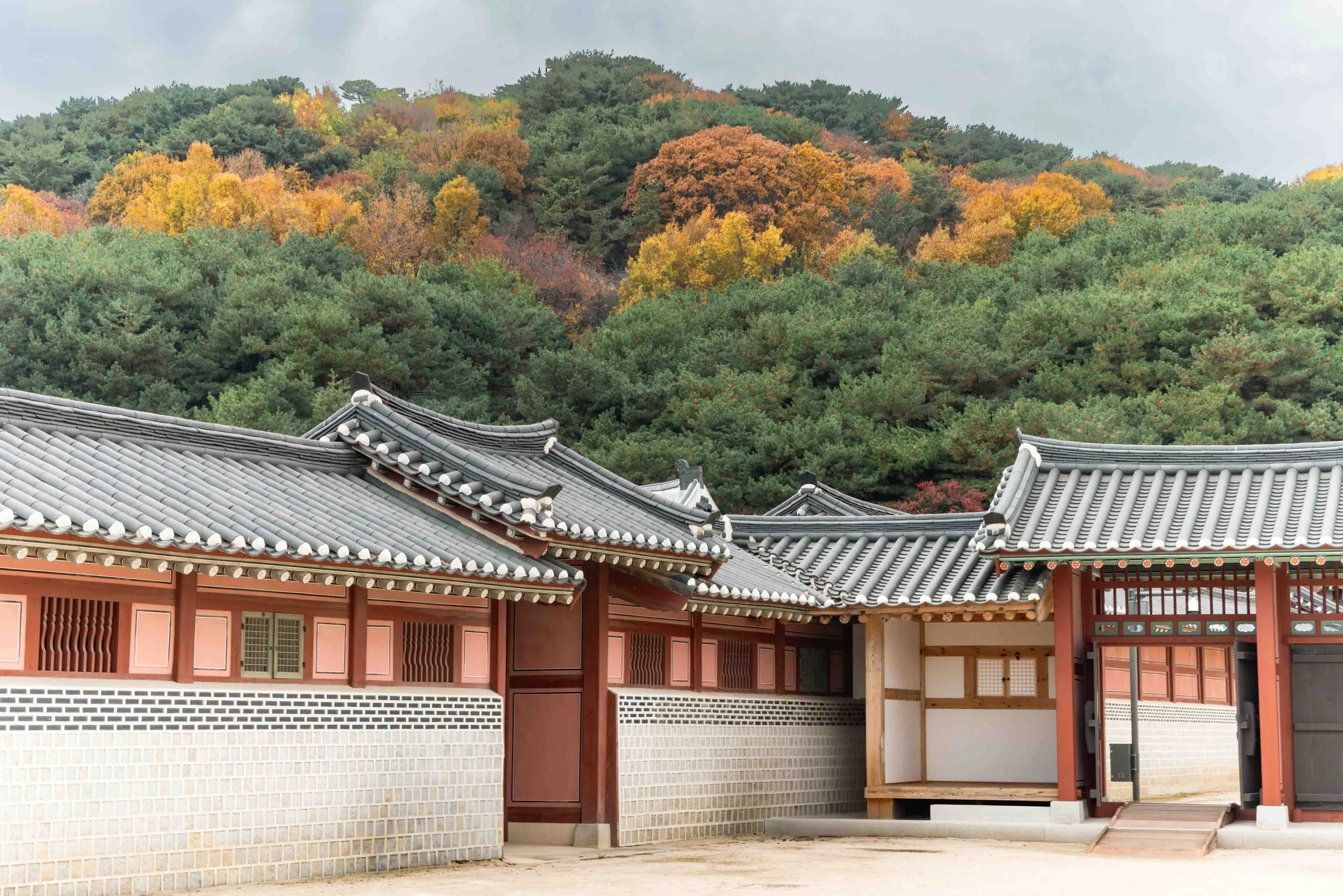 Korean palace with traditional architecture with white and pink walls and tile roof in front of a tree covererd hill with autumn foliage.