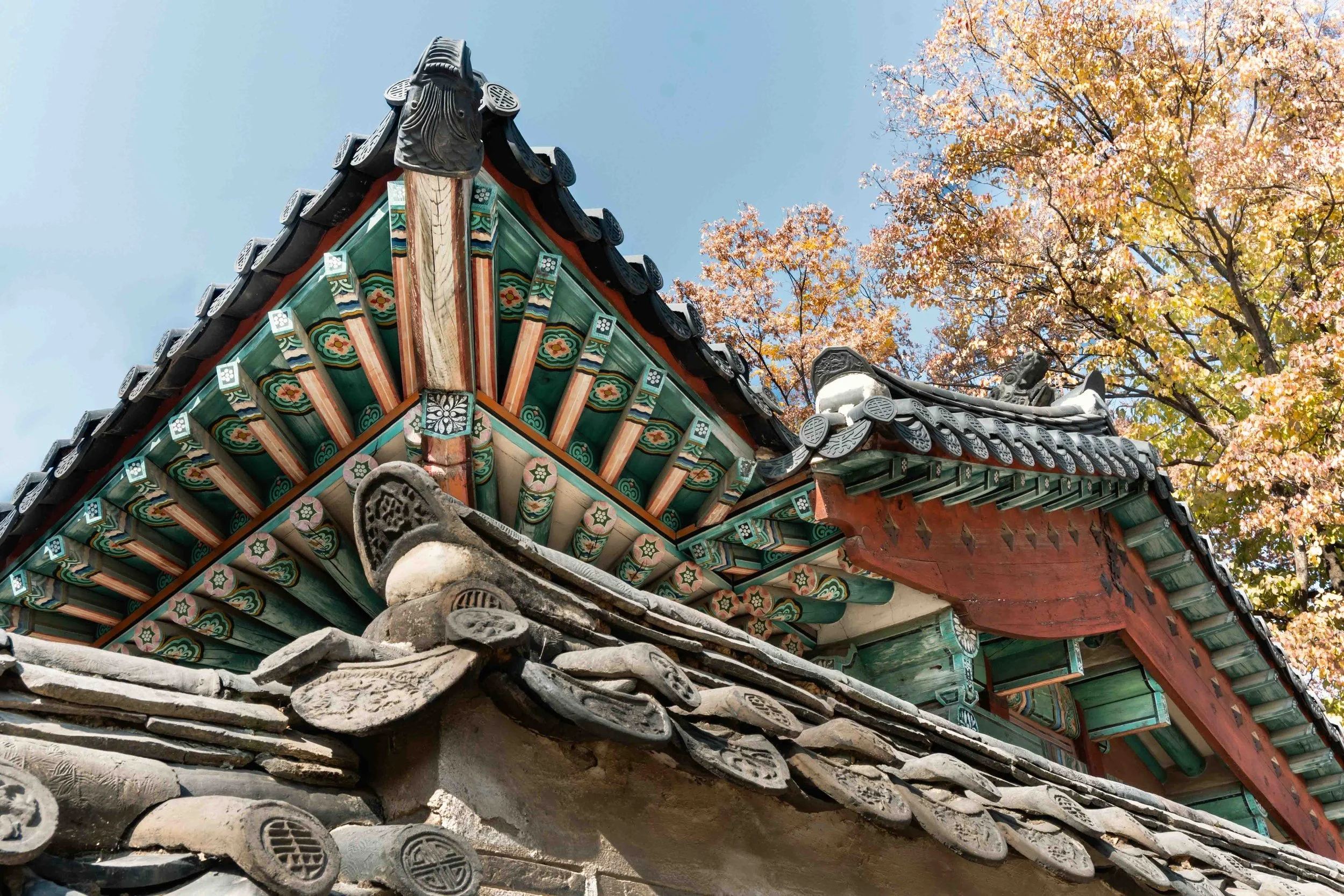 A roof of the Changdeokgung palace with its green and red colored design and grey tiles seen from below with a tree with yellow leaves in autumn.