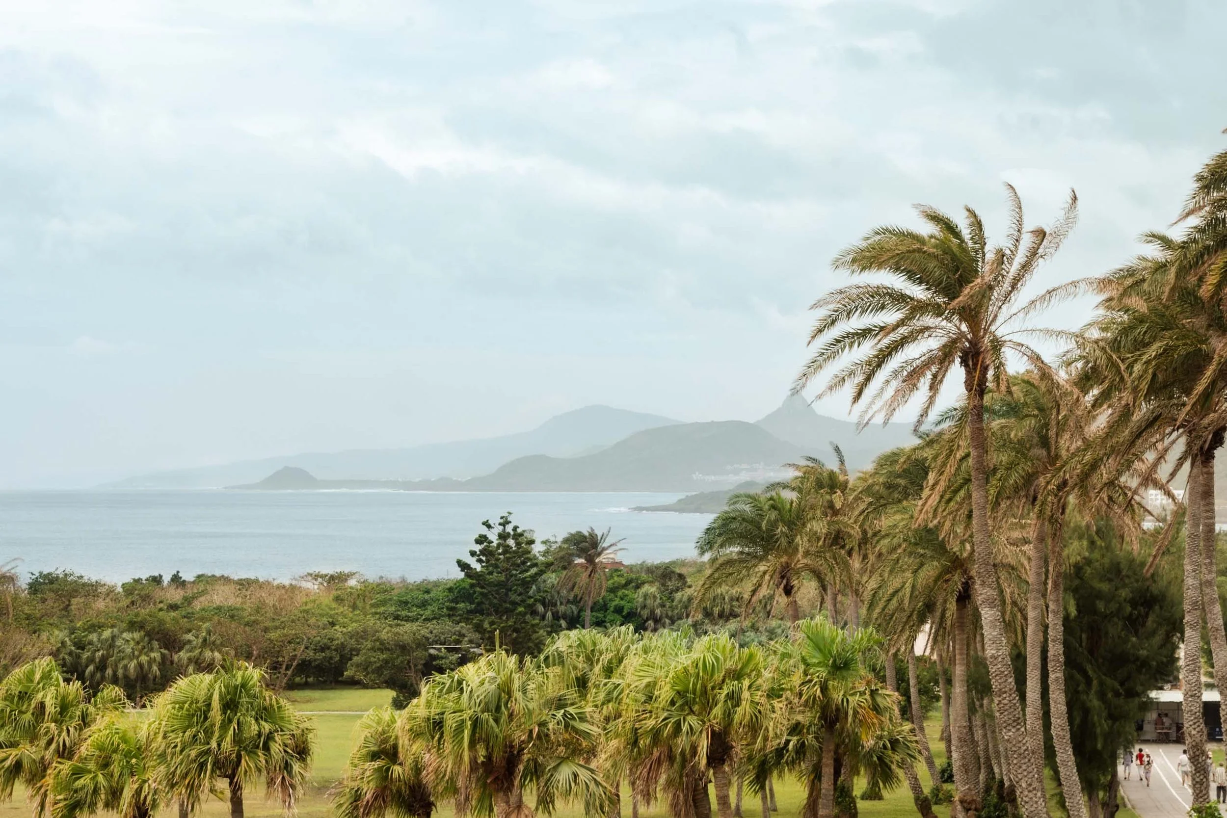 Green palms on a hill at Eluanbi lighthouse with a view on the ocean of Kenting coast.