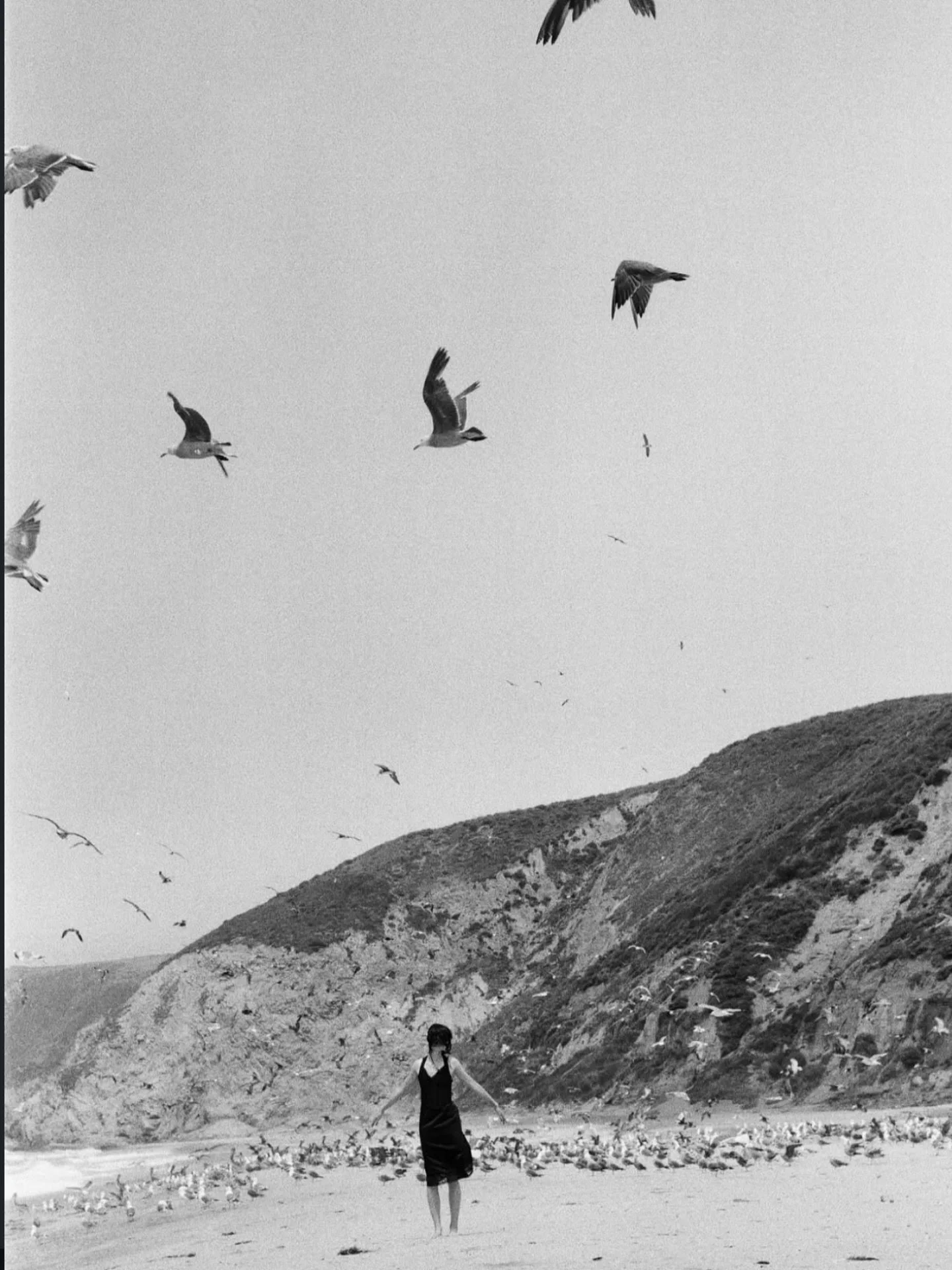 &lsquo;Birds in a dream&rsquo; - @loonamoonphotos 
-
🏷️Keep tagging #herexposure
-
#womenwhoshootfilm#graingurls#35mmfilm#120film#shootfilmaustralia#aussieanalog#filmisalive#filmwave#analogpeople#filmgirls#womeninfilmphotography#womeninstreet#womens