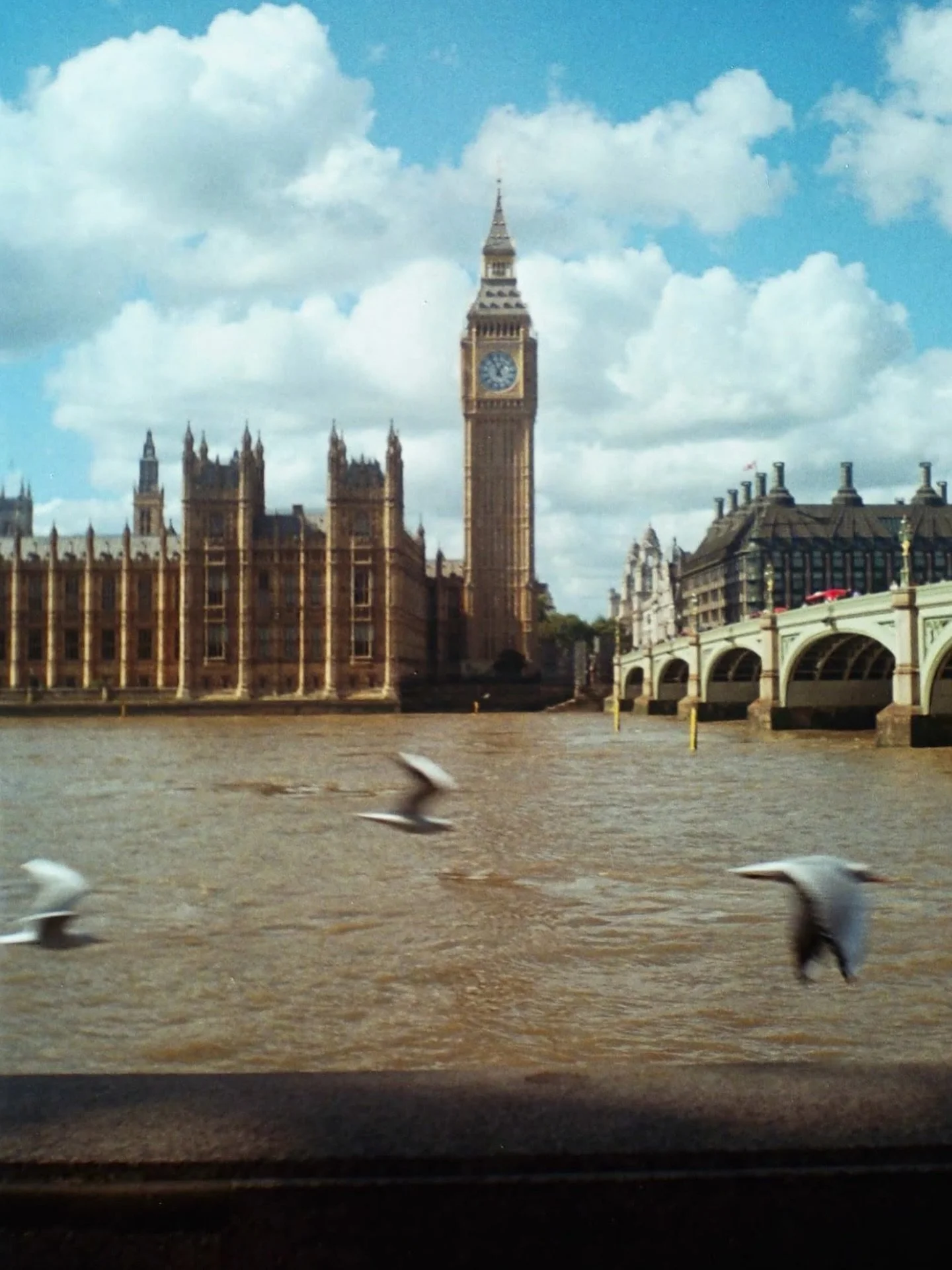 &lsquo;The birds were paid actors&rsquo; - @ginaclicks 
-
🏷️Keep tagging #herexposure
-
#womenwhoshootfilm#graingurls#35mmfilm#120film#shootfilmaustralia#aussieanalog#filmisalive#filmwave#analogpeople#filmgirls#womeninfilmphotography#womeninstreet#w