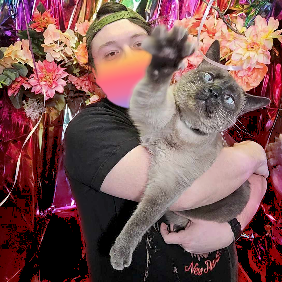 Mechson band photo.png