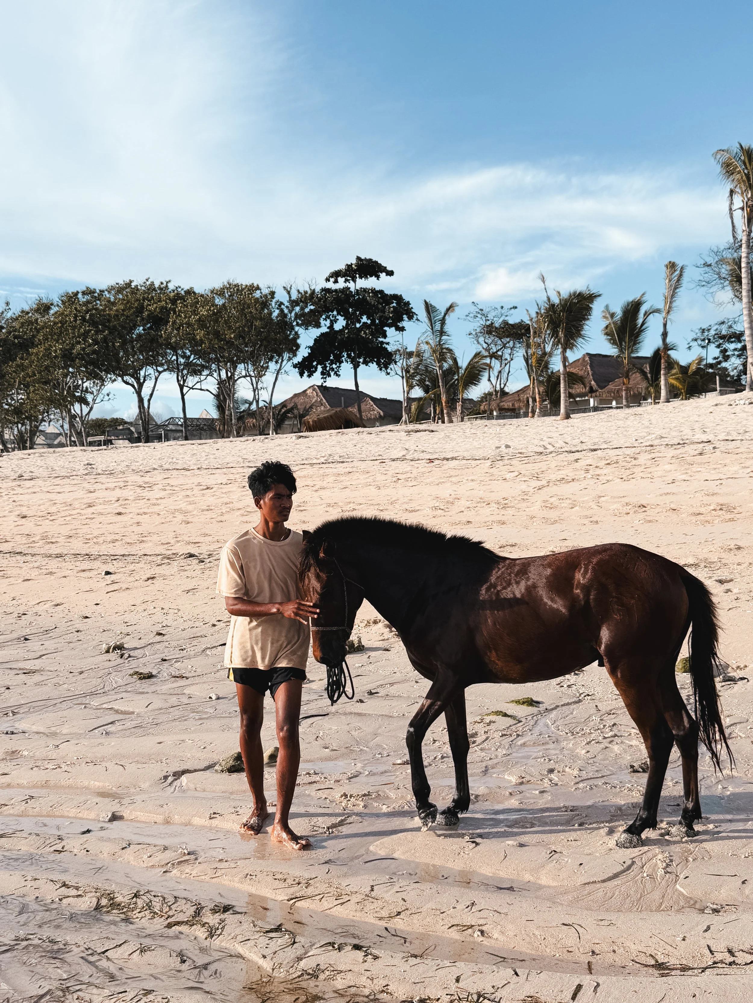 Visiting Sumba for the First Time: The Honest Guide