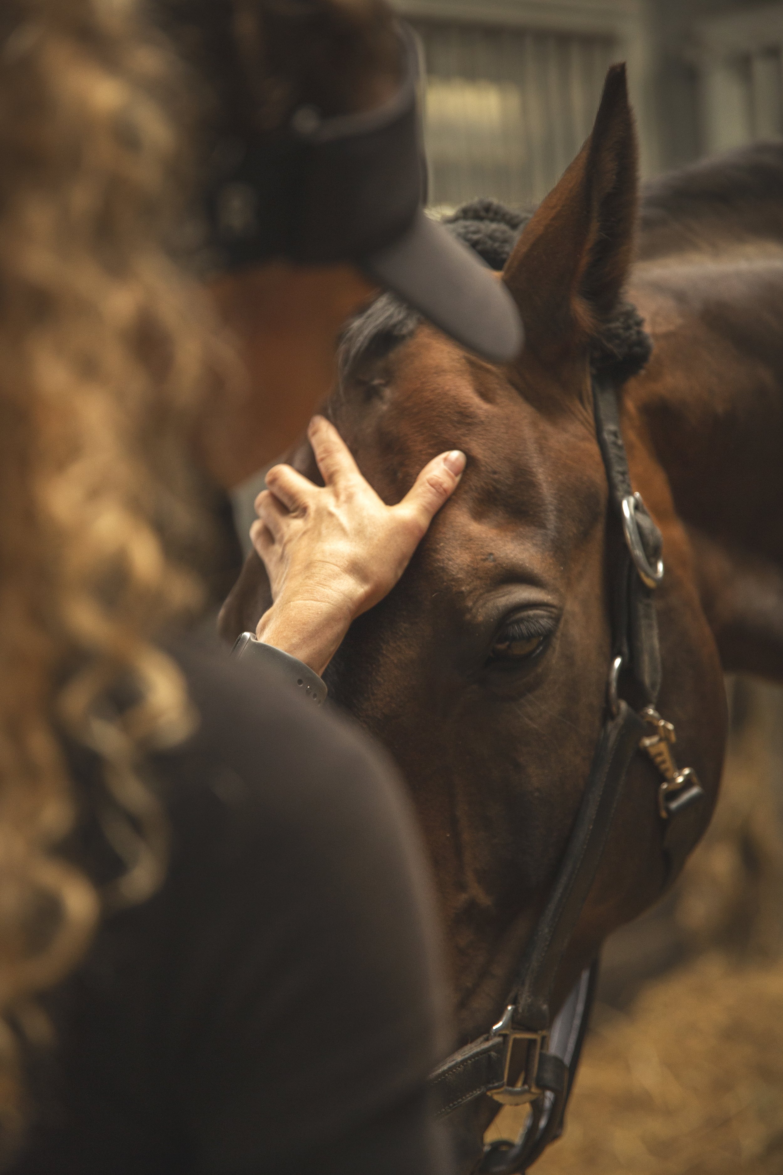 Are there as many types of Therapy as there are Therapists?