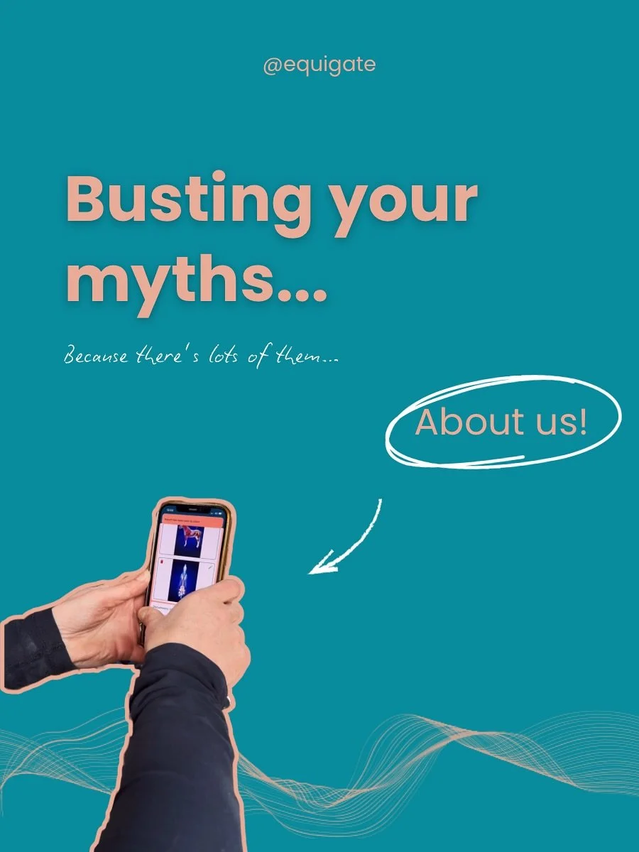 YOUR MYTHS - BUSTED 🥊 

We want to make sure you&rsquo;ve got all the facts when it comes to getting your business back on track with Equigate 👏🏼 

From saddle fitters to equine osteopaths, physios to trainers and coaches. We&rsquo;ve got you all 