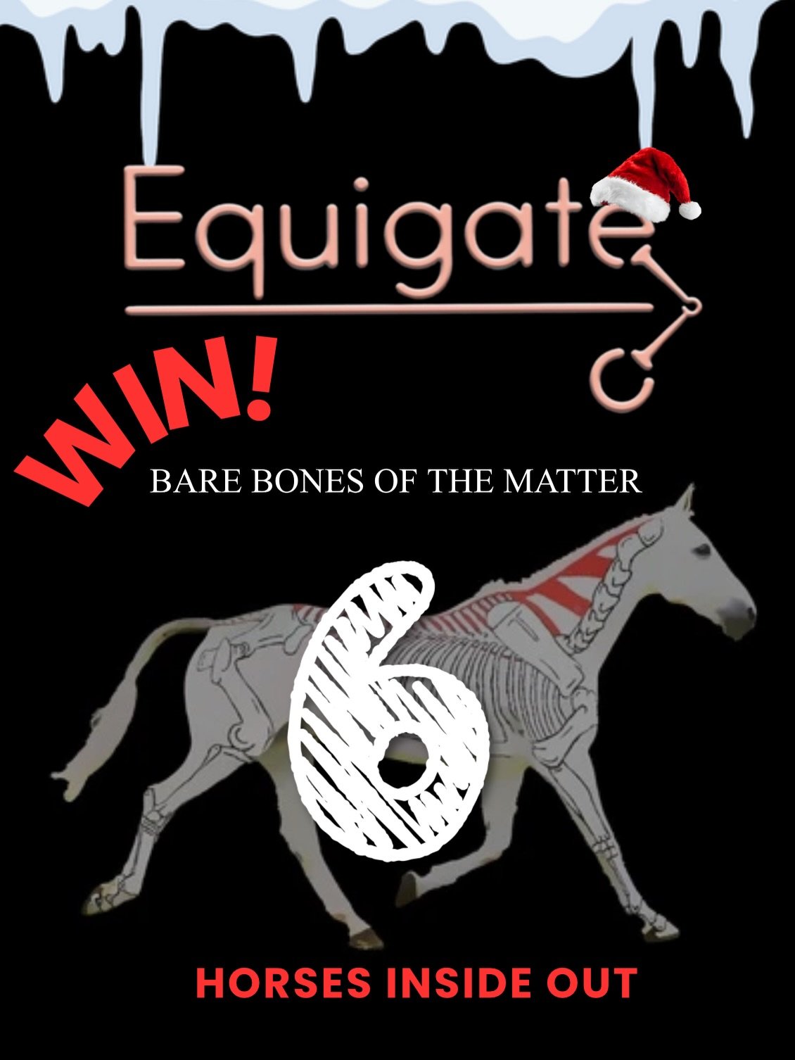 🎅🏼ADVENT GIVEAWAY : DOOR 6🎅🏼

YOUR CHANCE TO WIN 👇🏼
✨ The @horsesinsideout_ BARE BONES OF THE MATTER docu-series access! 😍 

A detailed look at the mechanics of the equine body, allowing you to better understand your horse or your practice! 

