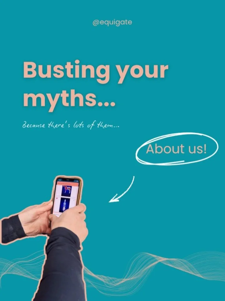 YOUR MYTHS - BUSTED 🥊 

We want to make sure you&rsquo;ve got all the facts when it comes to getting your business back on track with Equigate 👏🏼 

From saddle fitters to equine osteopaths, physios to trainers and coaches. We&rsquo;ve got you all 
