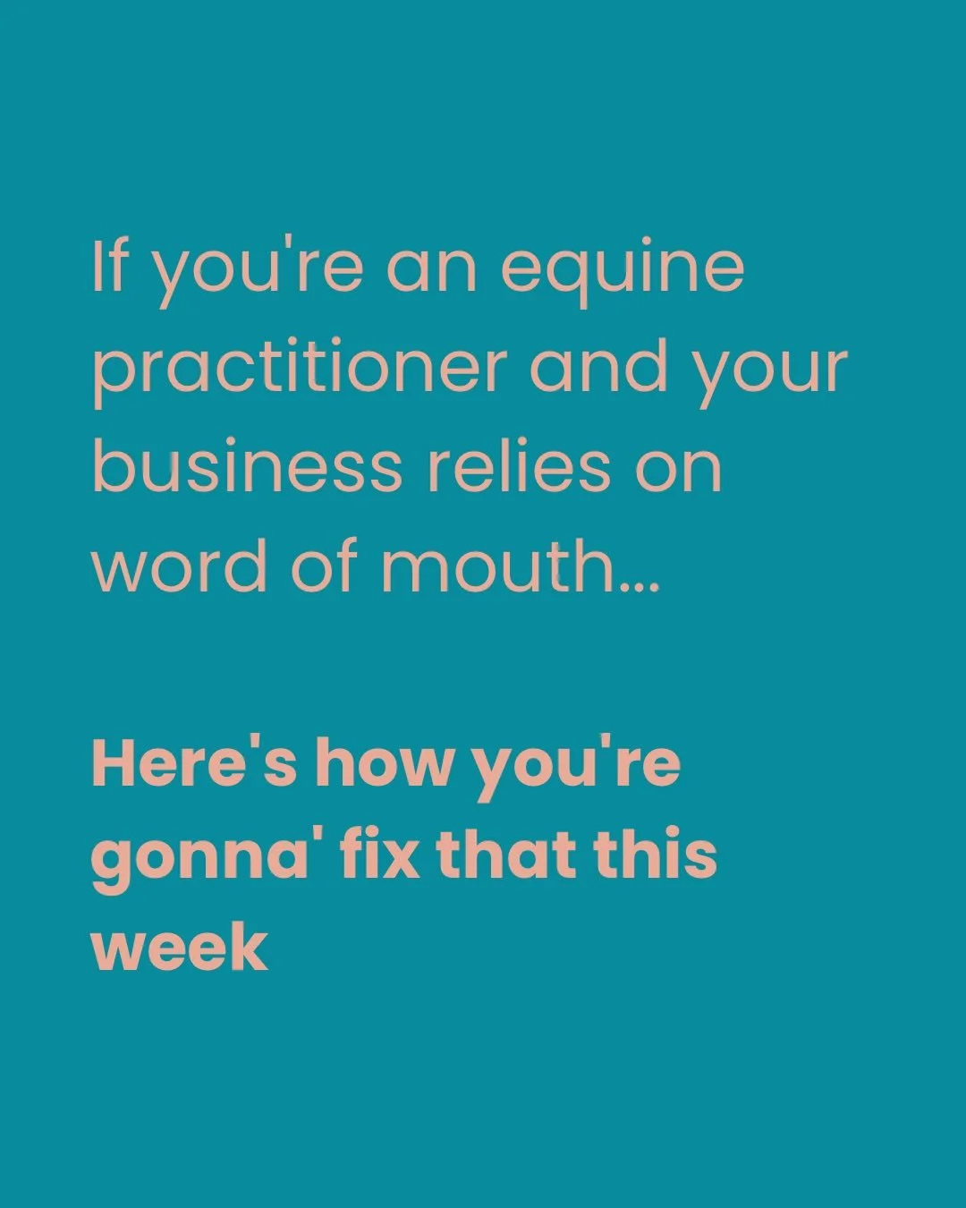 I built May Is For More because I kept seeing the same thing over and over again

REALLY good equine practitioners relying on word of mouth and hoping it would keep ticking over... But I can tell you that eventually, word of mouth fizzles out.

For 3