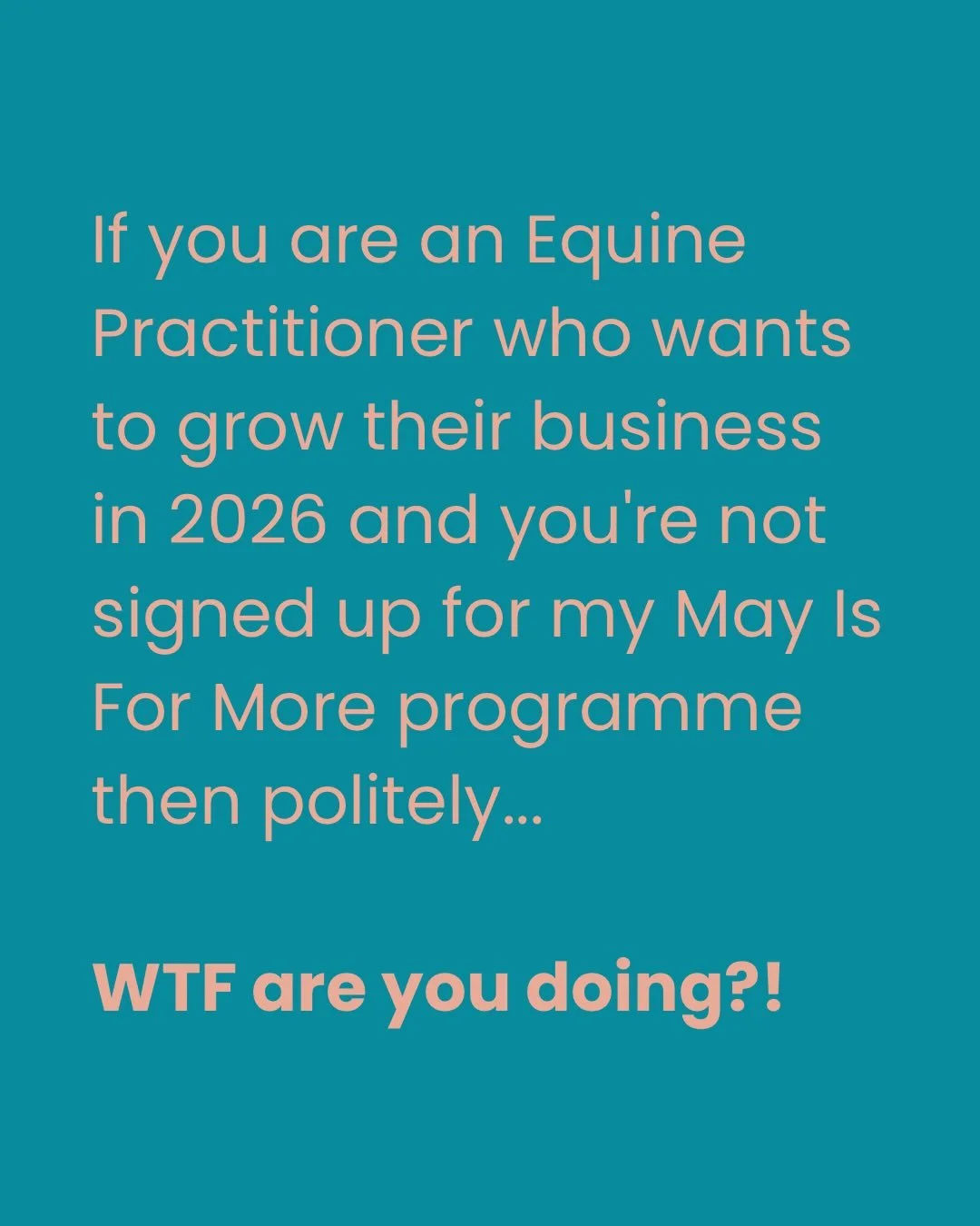 If you strip it back, most equine practitioners I speak to already know they want more from their business this year. More consistency, more enquiries, more of a feeling that things are actually moving instead of just ticking over.

But the way they&