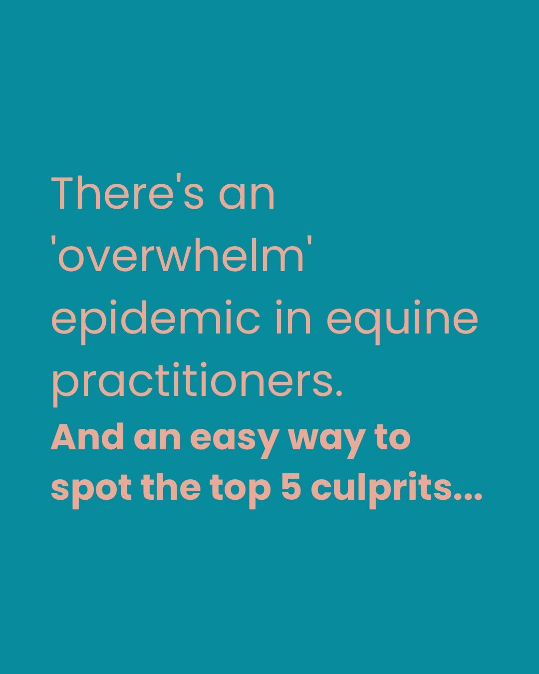 Hundreds of practitioners are battling overwhelm. Our industry is more competitive than EVER and the most talented practitioners area plate spinning like never before! 

The pressure can feel real, feelings of imposter syndrome and lying awake at 2 a