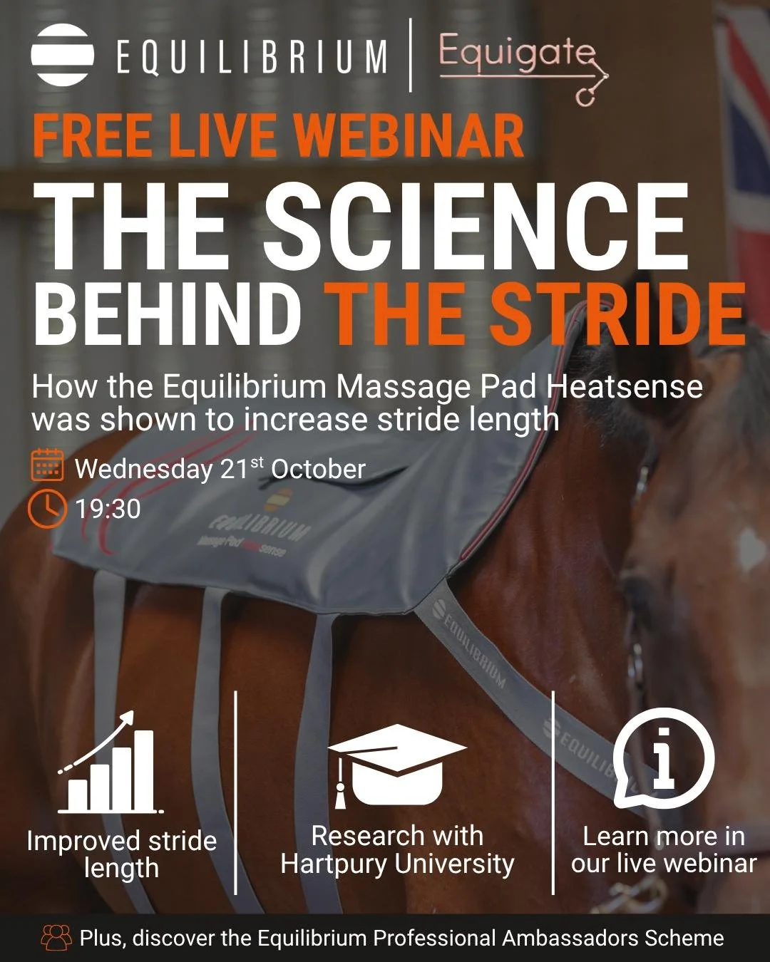We have a FREE webinar tomorrow night with the team at Equilibrium tomorrow night at 8pm 

As an Equigate user you'll have had an email invite, but you can DM us for the sign up link too 🙌