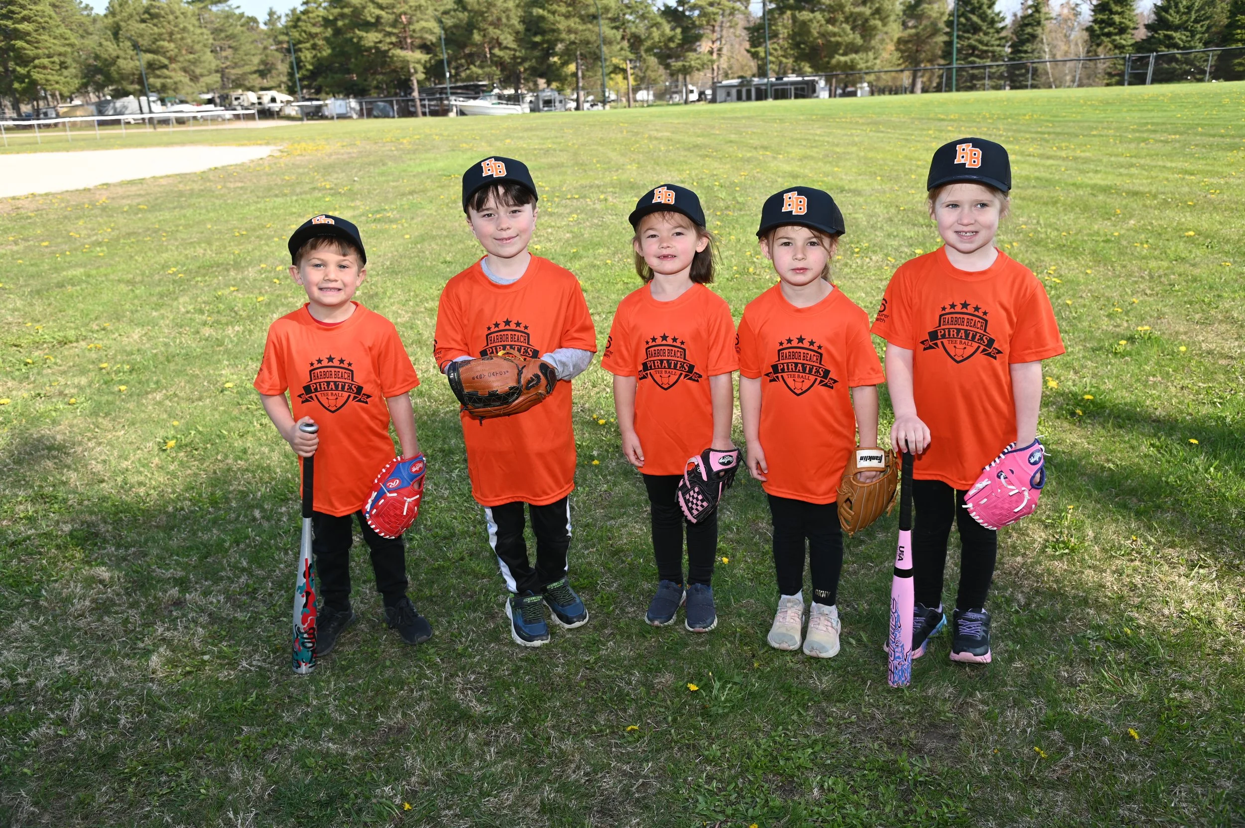 Tball Pleiness.JPG