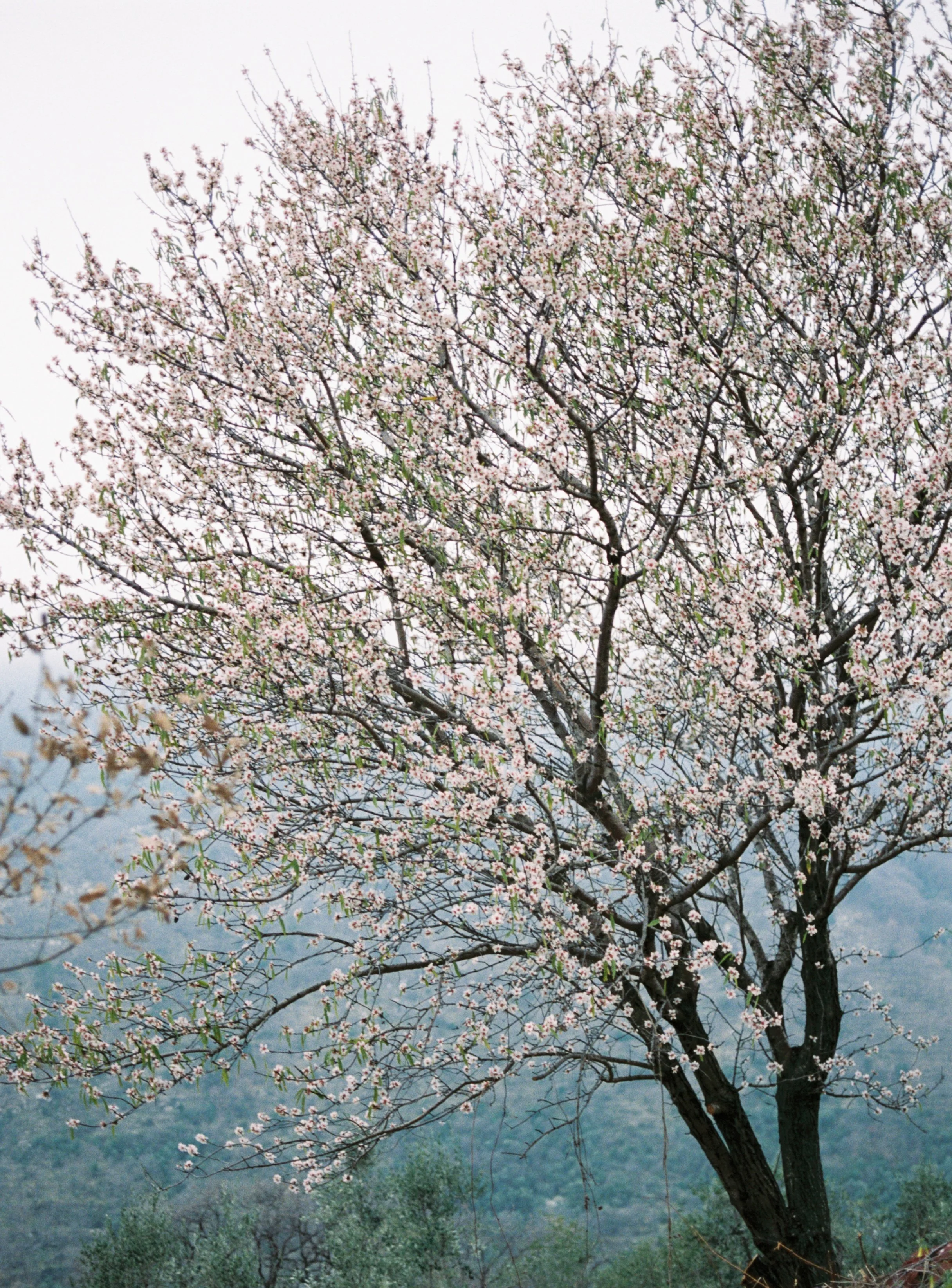 R1-08241-004A.jpg