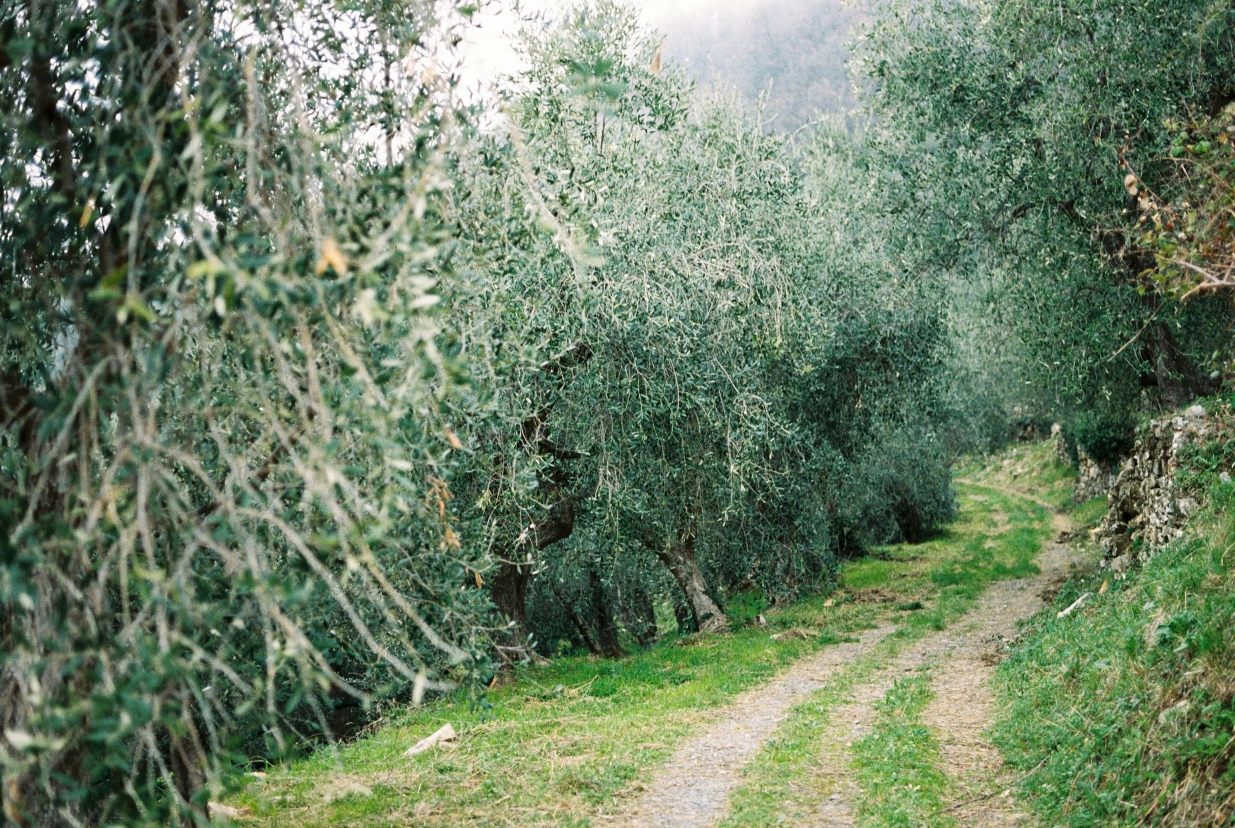 11. Villa Faraldi.jpg