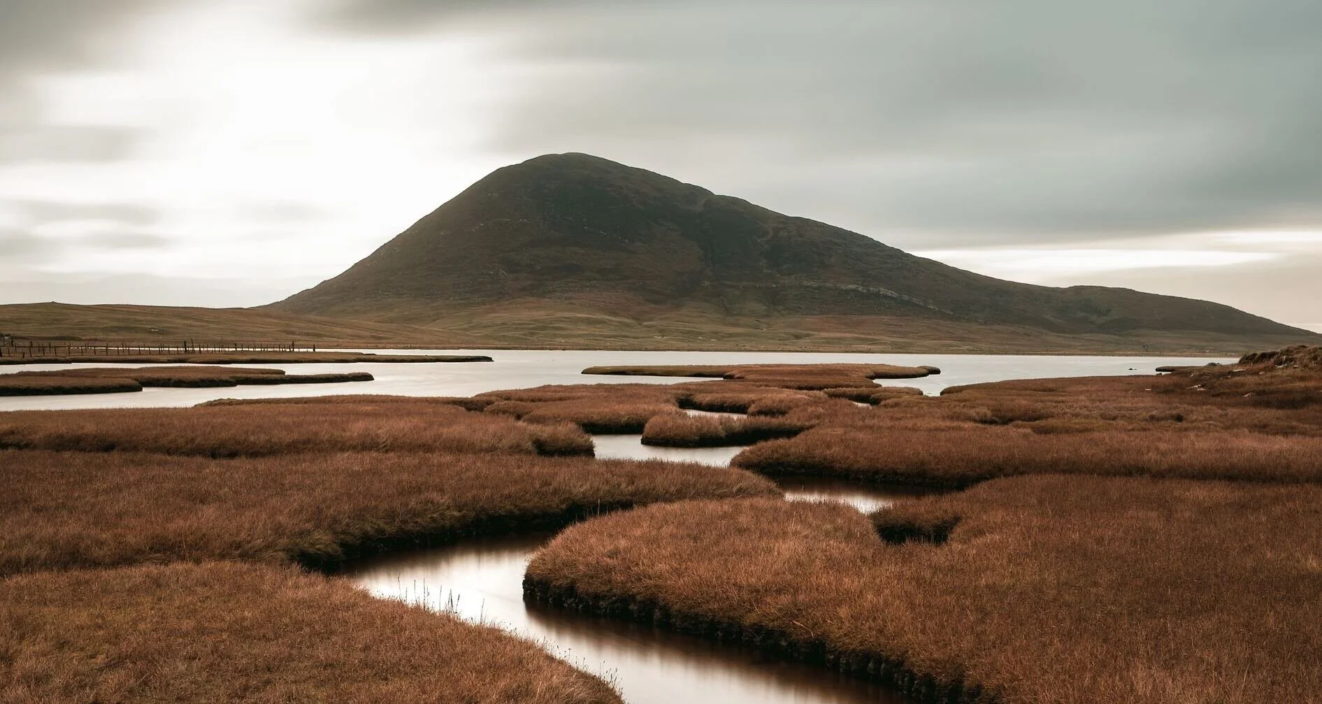 Introduction to On-Page SEO Optimization: Boost Your Website's Visibility