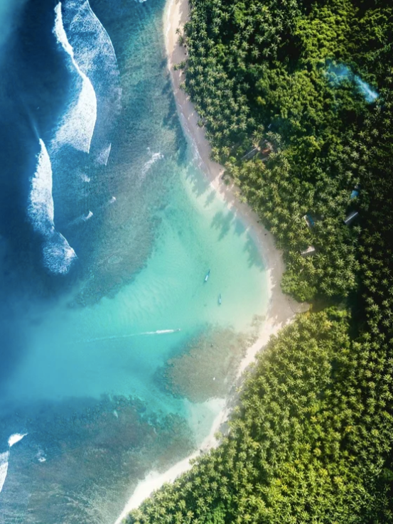Biophilic Design for Human Flourishing