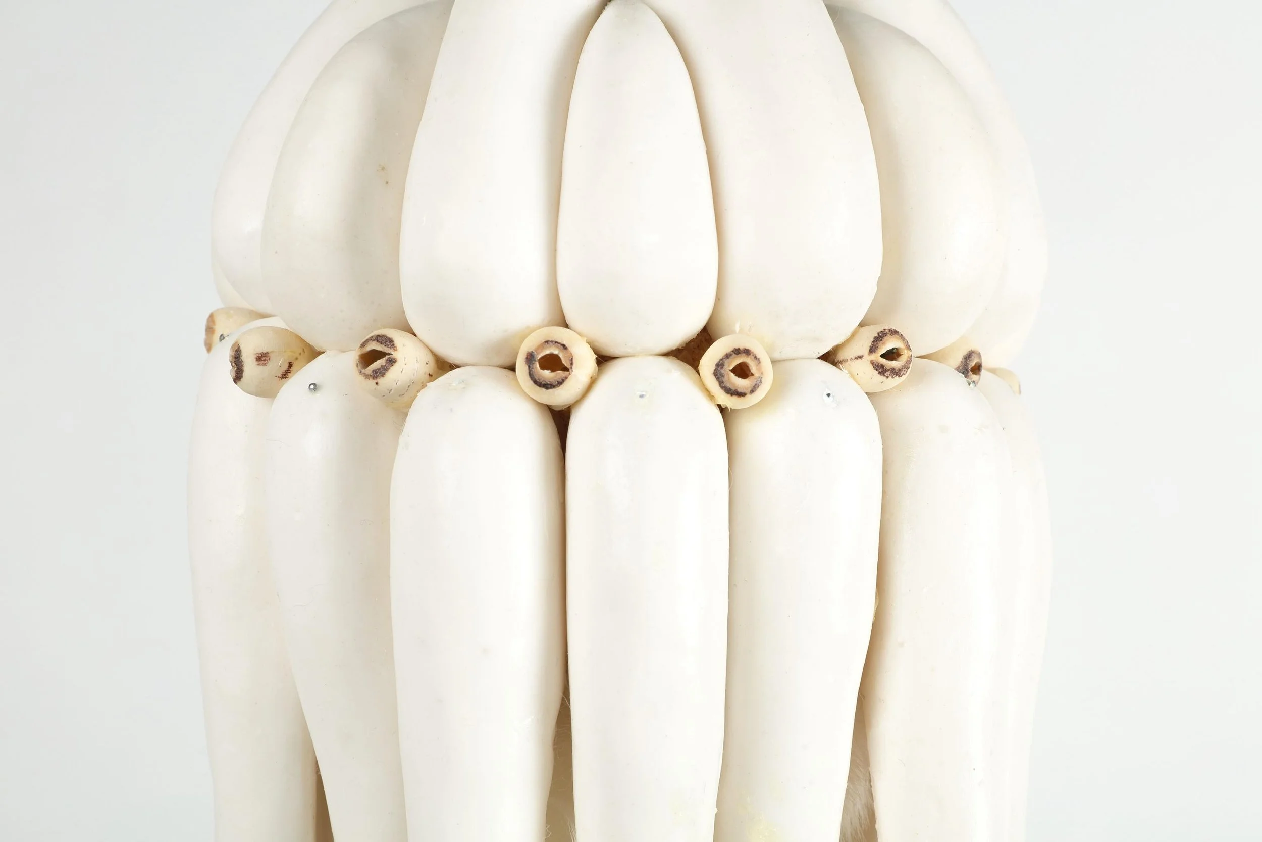 Prayer (cnidaria), 2025, h.35 x w.28 x d.28 cm, Silicone, licorice, turmeric, paprika, pigment, rabbit fur, lotus seeds