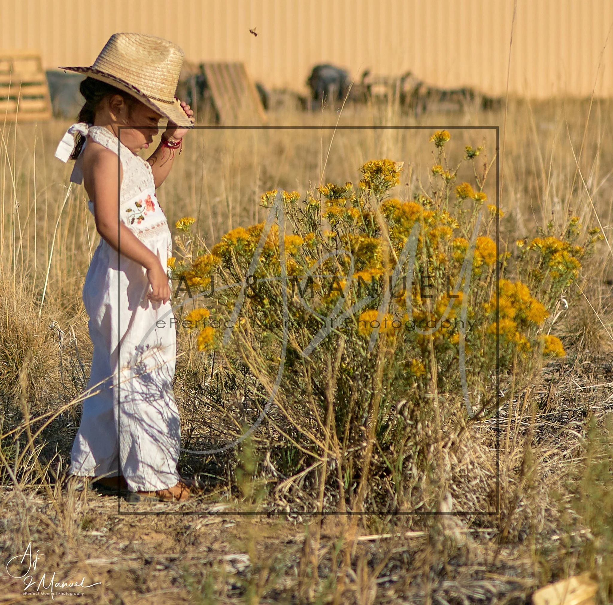 Children's Photography Session