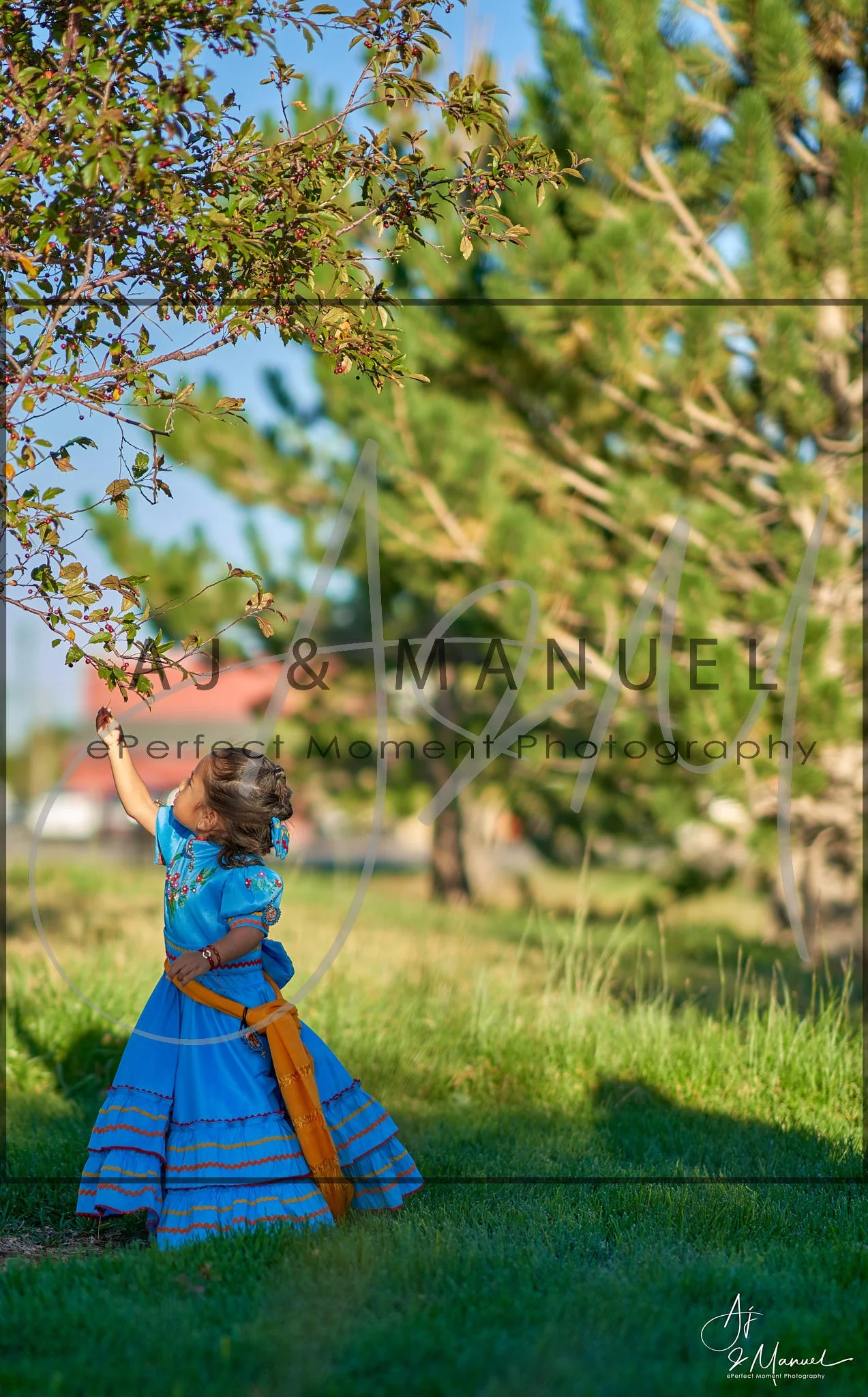 watermark.pictures.epm 8.jpg