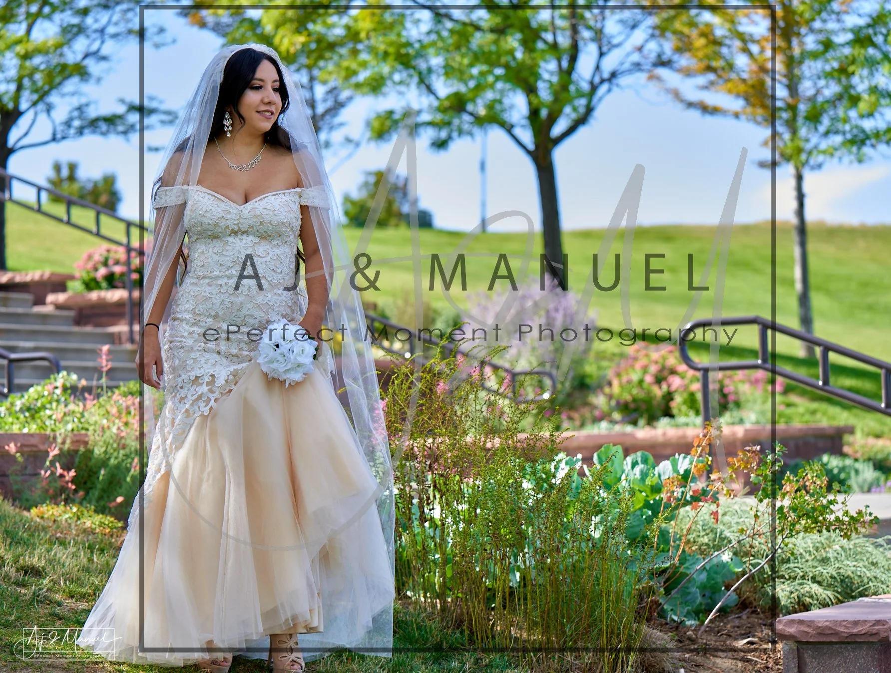 Screenshot 2024-11-03 at 7.09.59 AM.jpg