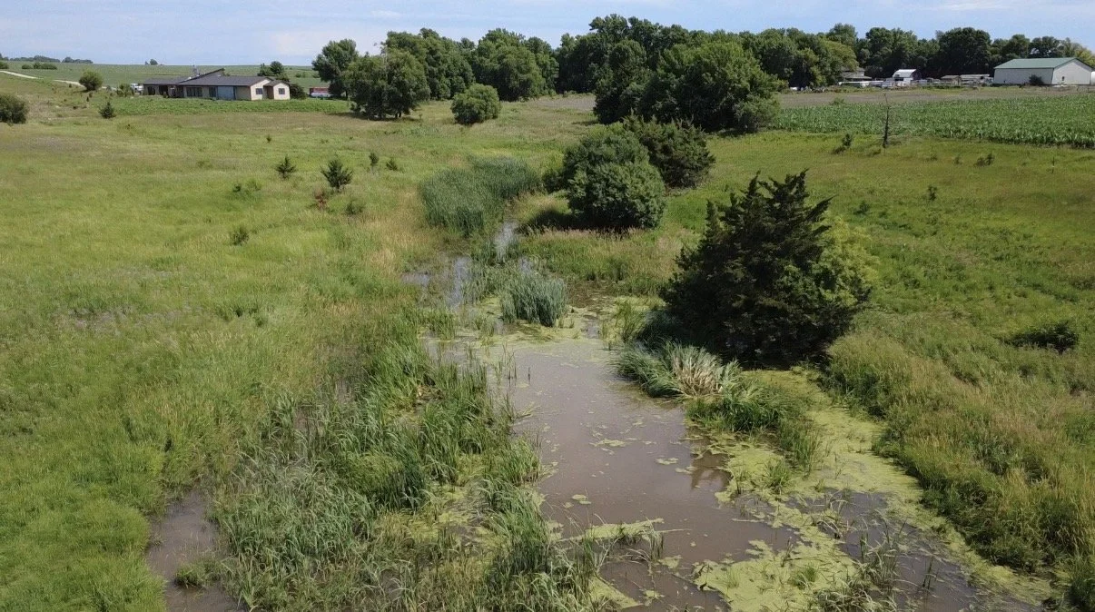 backyard fishing pond