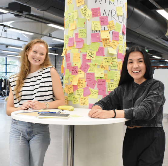 Service design project field research