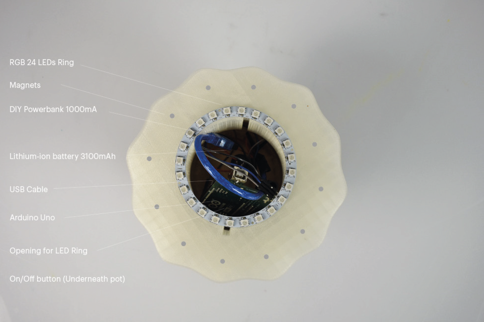 Elements on the inside lamp
