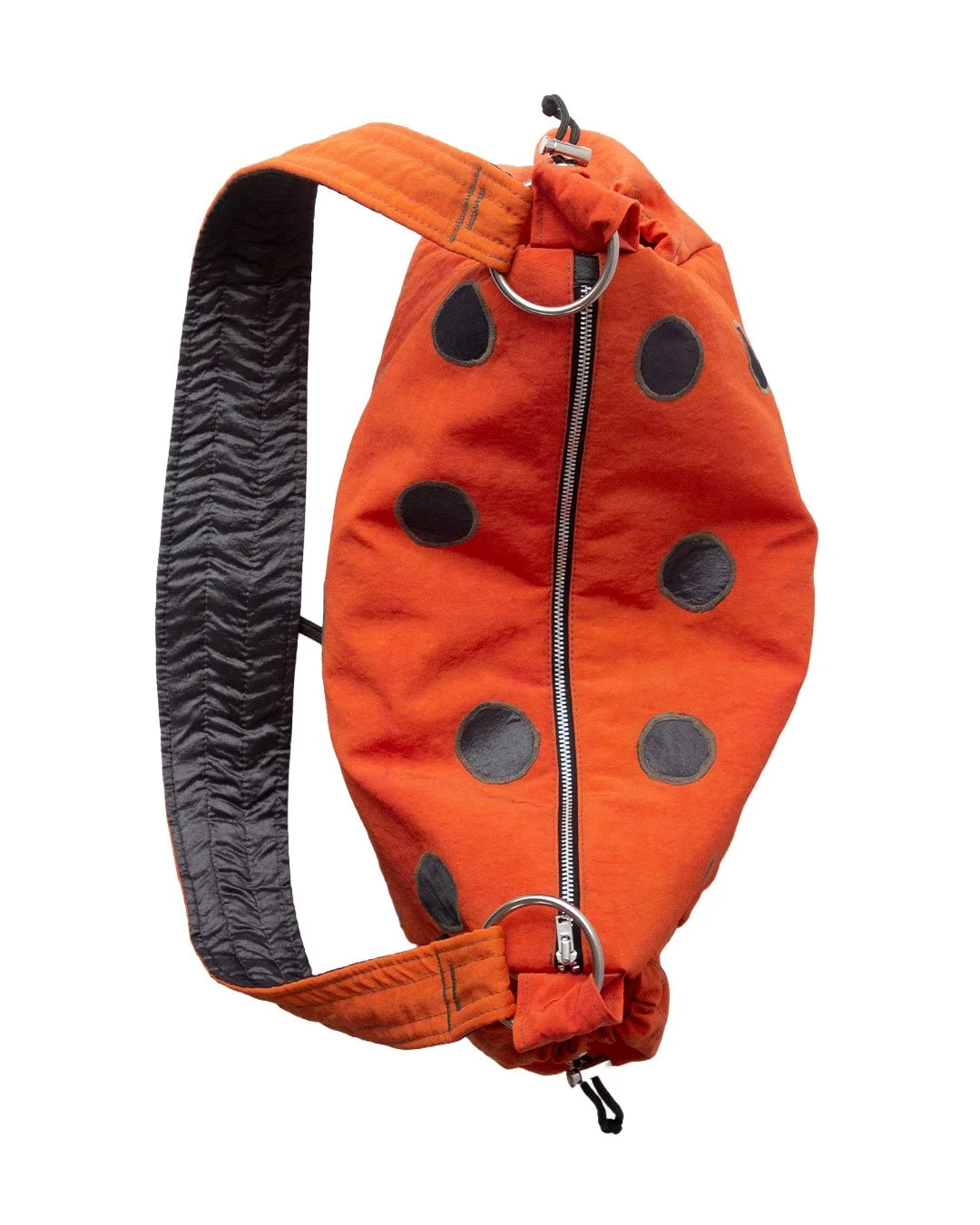 POLKA-3.jpg