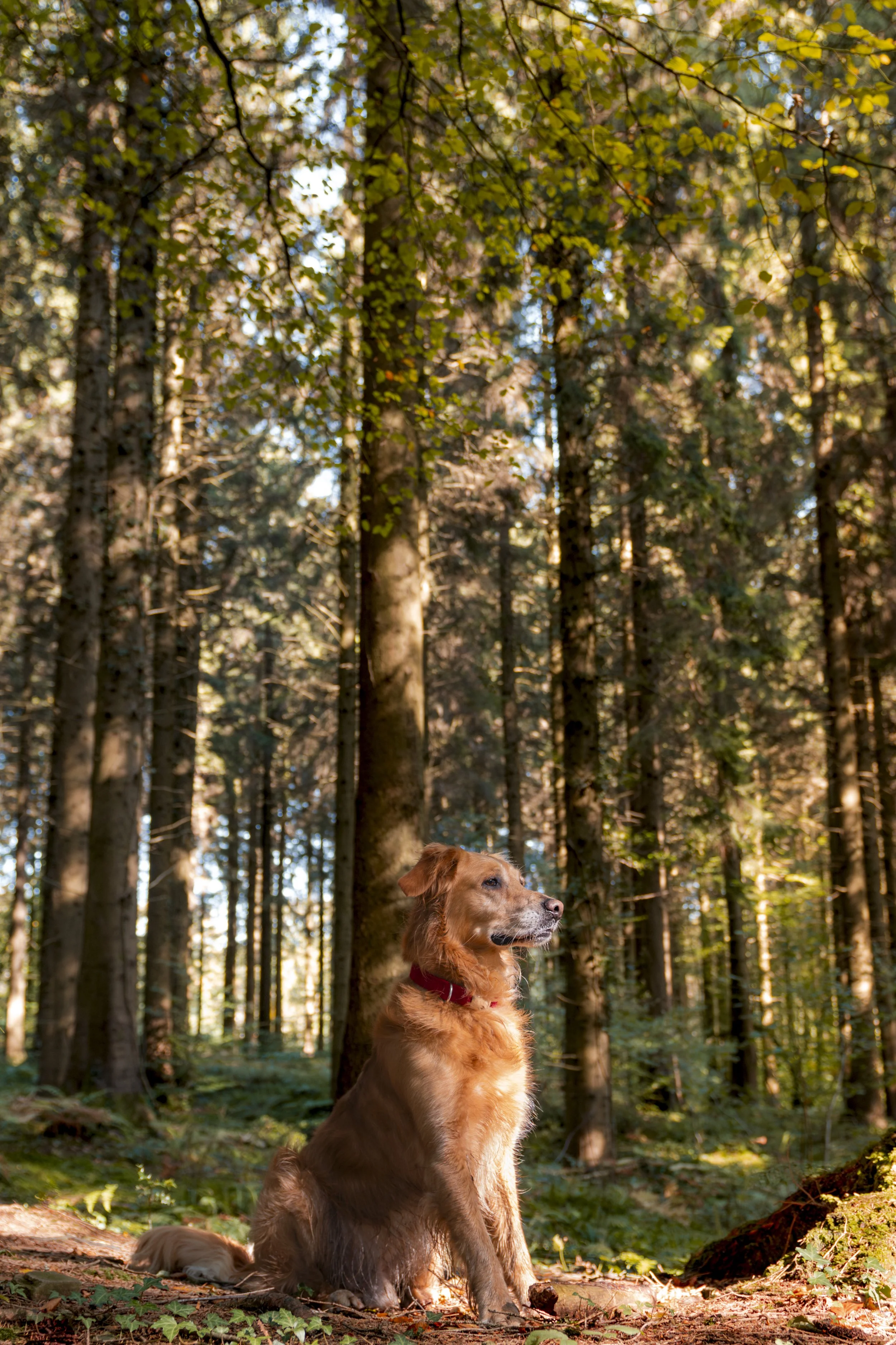 Outdoors8.jpg