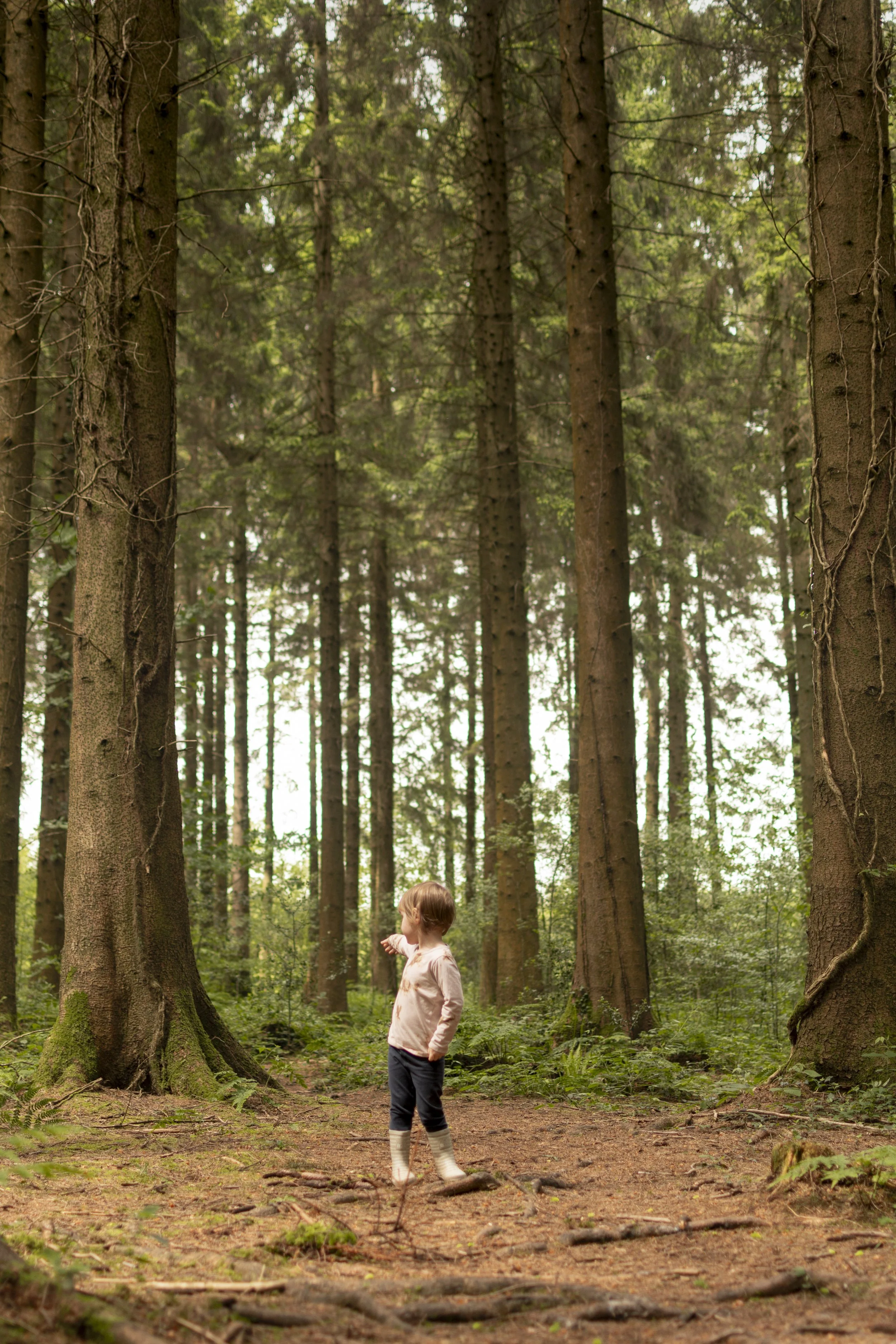 Outdoors3.jpg