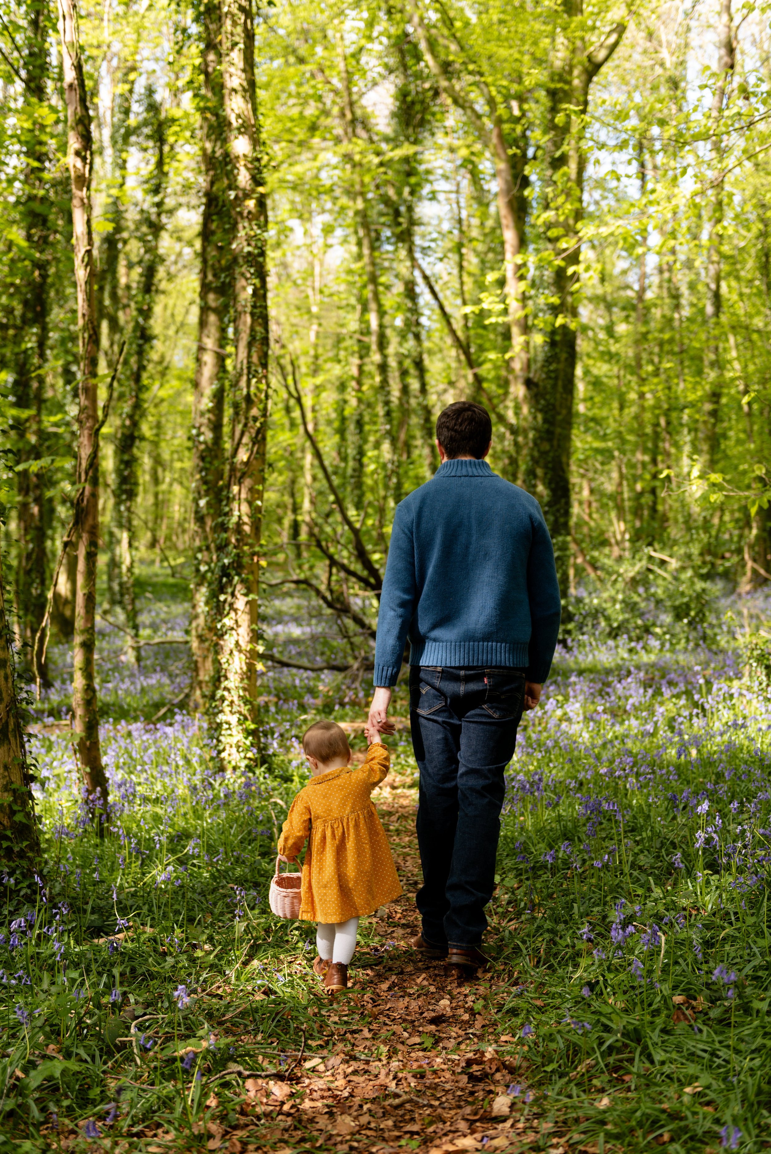 cardiff bluebell forest woodland photoshoot