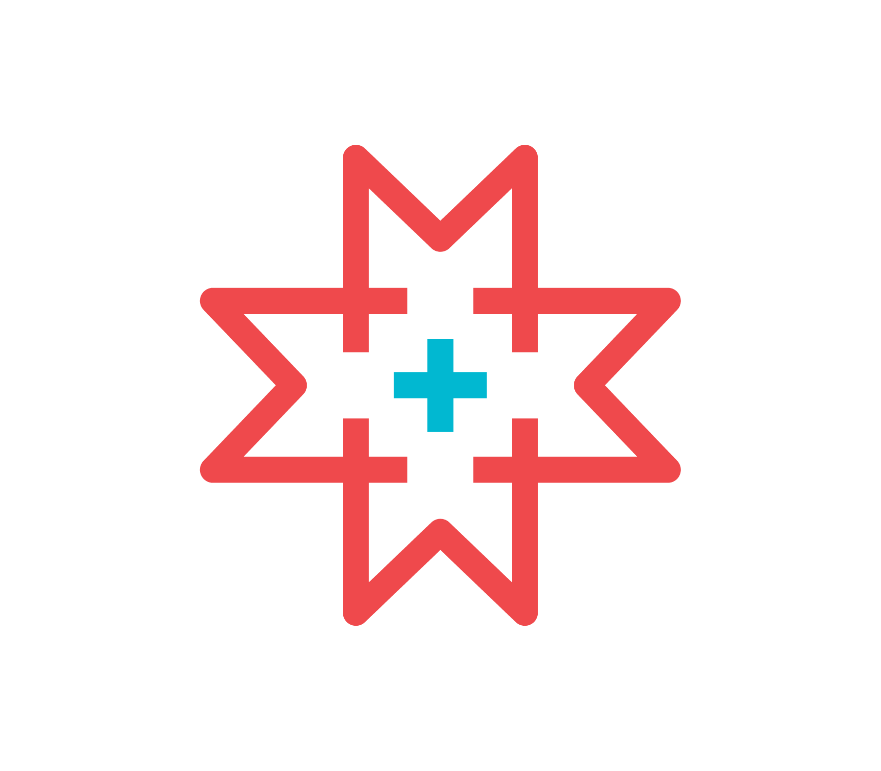 Stylized star-shaped snowflake with red outer points and a blue plus sign at the center.