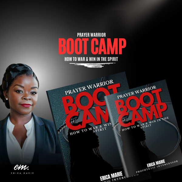 book ebook cover.png