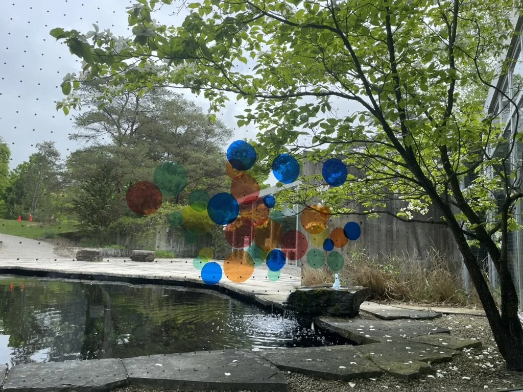 Contributing Member of the HSD Global Association